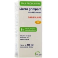 Sirop Lierre Grimpant
