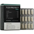 Synactifs Flex Protect Articulations