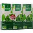 Weleda Jus de Bouleau Bio