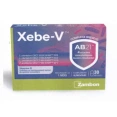 Xebe-V