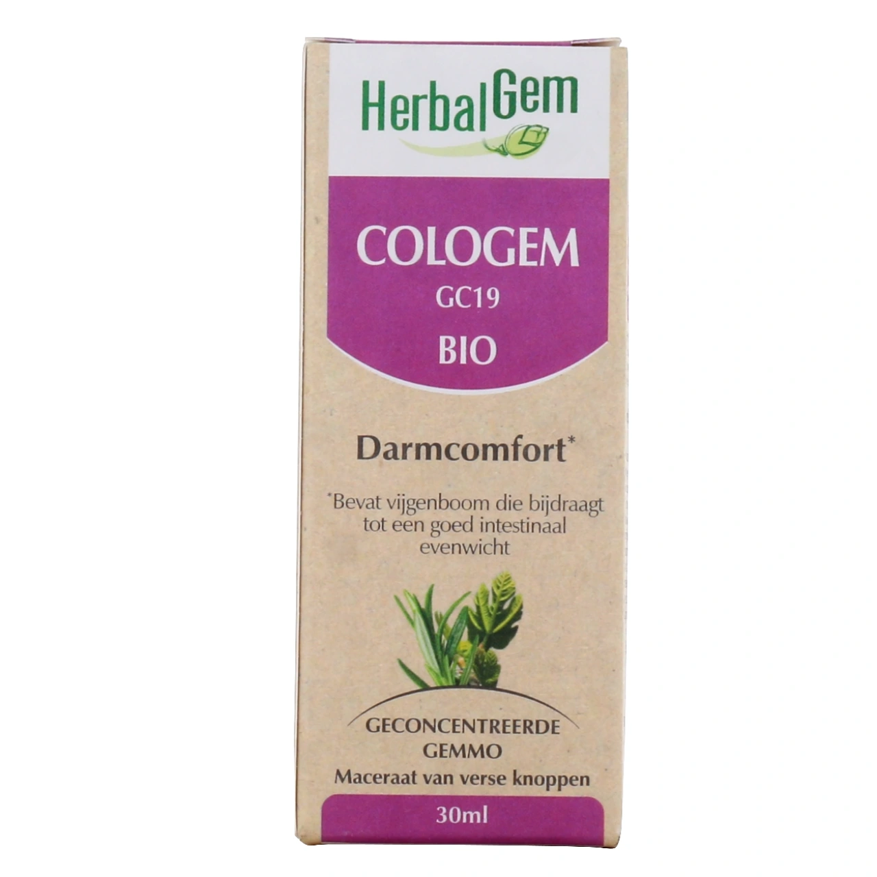 Herbalgem Cologem Confort Intestinal Bio - Vue 3