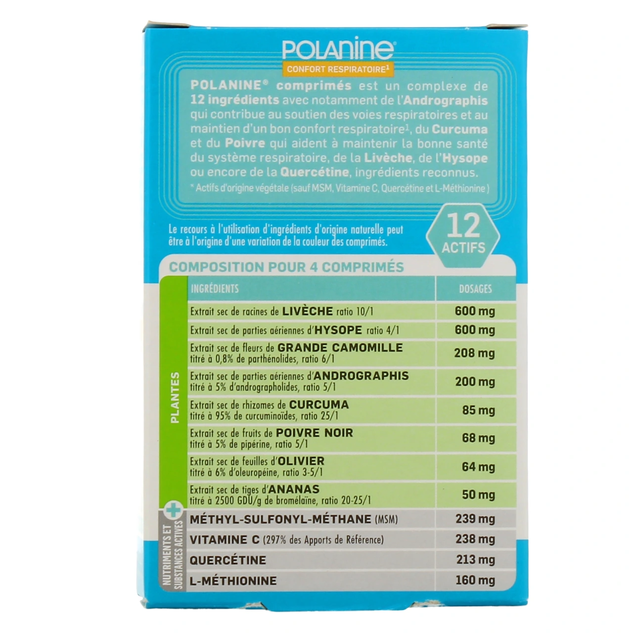 Polanine - Vue 3