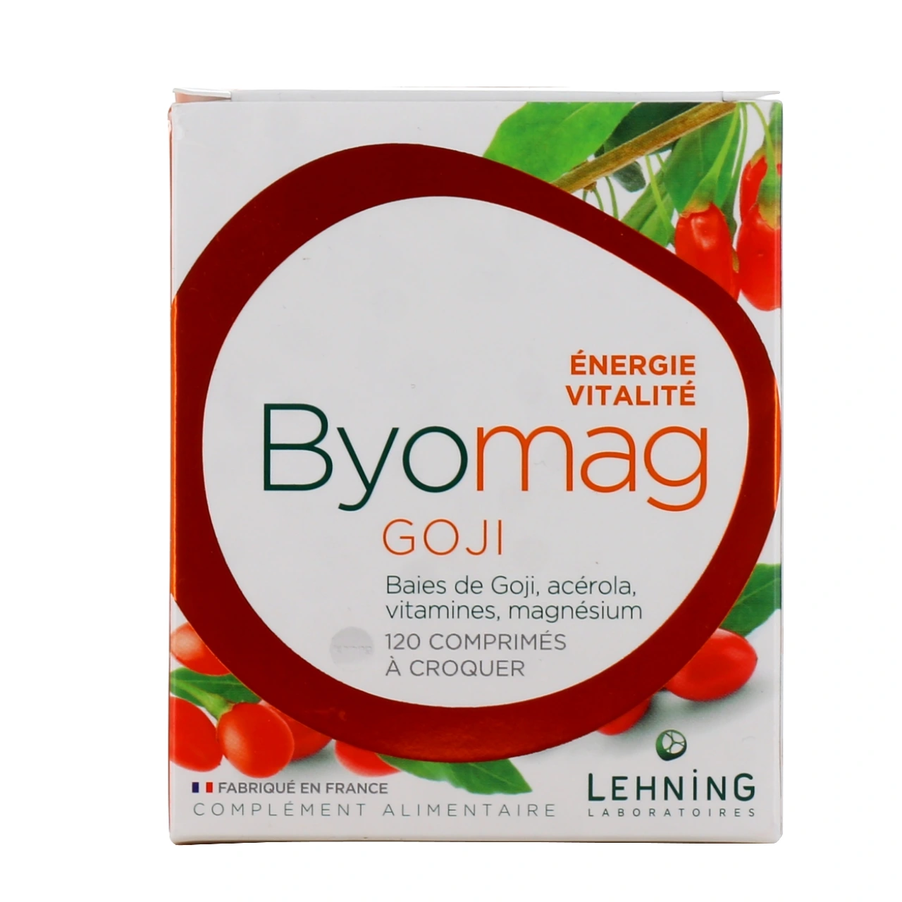 Lehning Byomag Goji - Vue 2