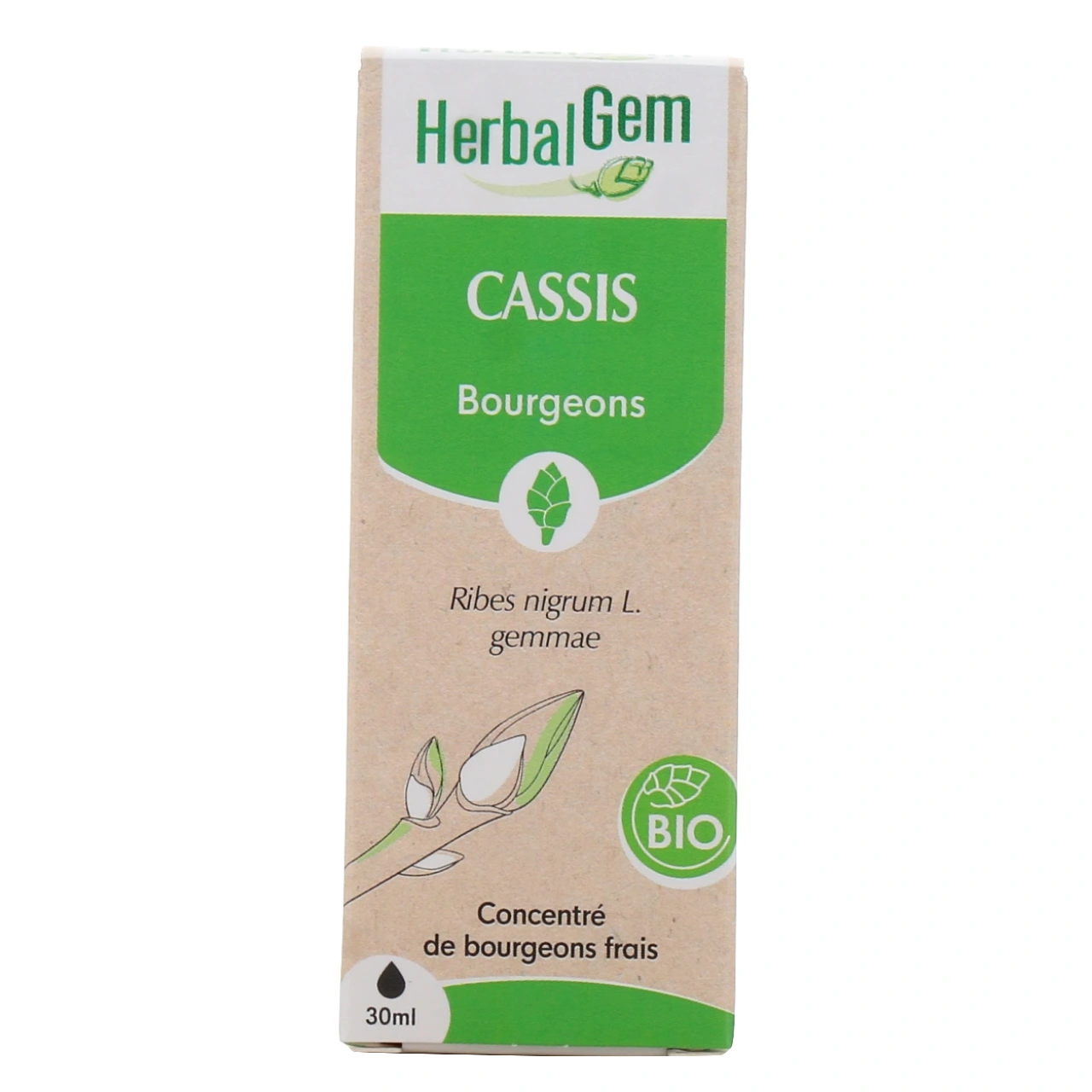 Herbalgem Cassis Bio - Vue 2