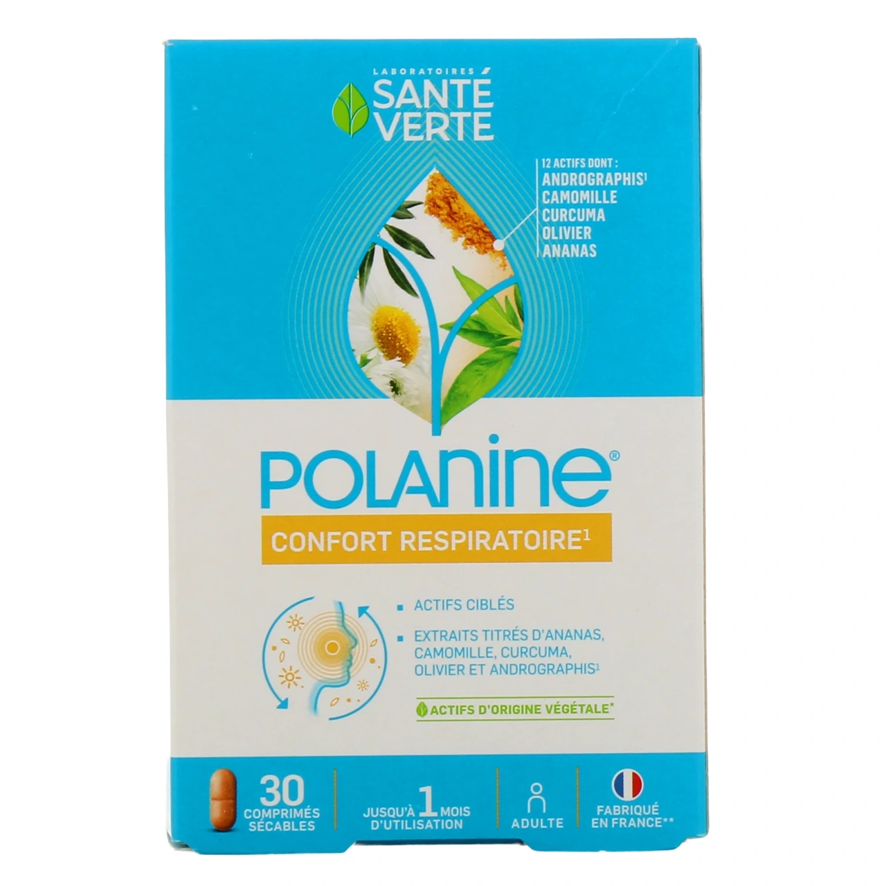 Polanine - Vue 2