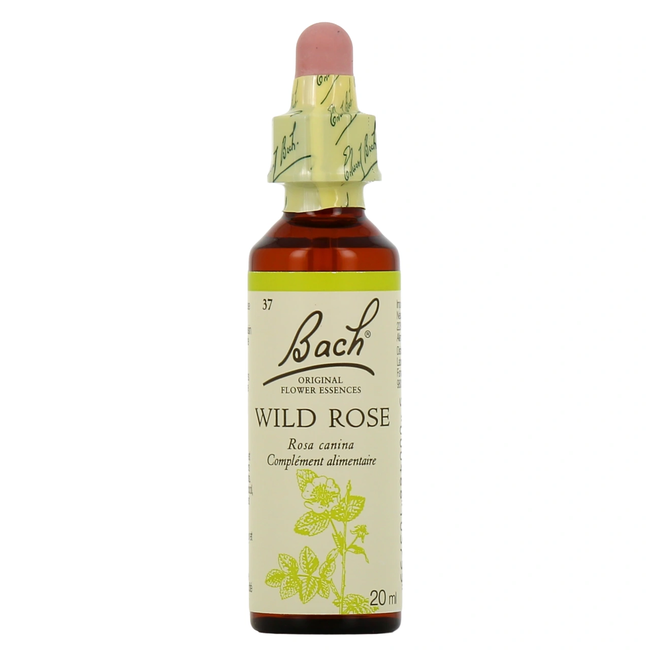 Fleurs de Bach Wild Rose n°37 - Vue 2