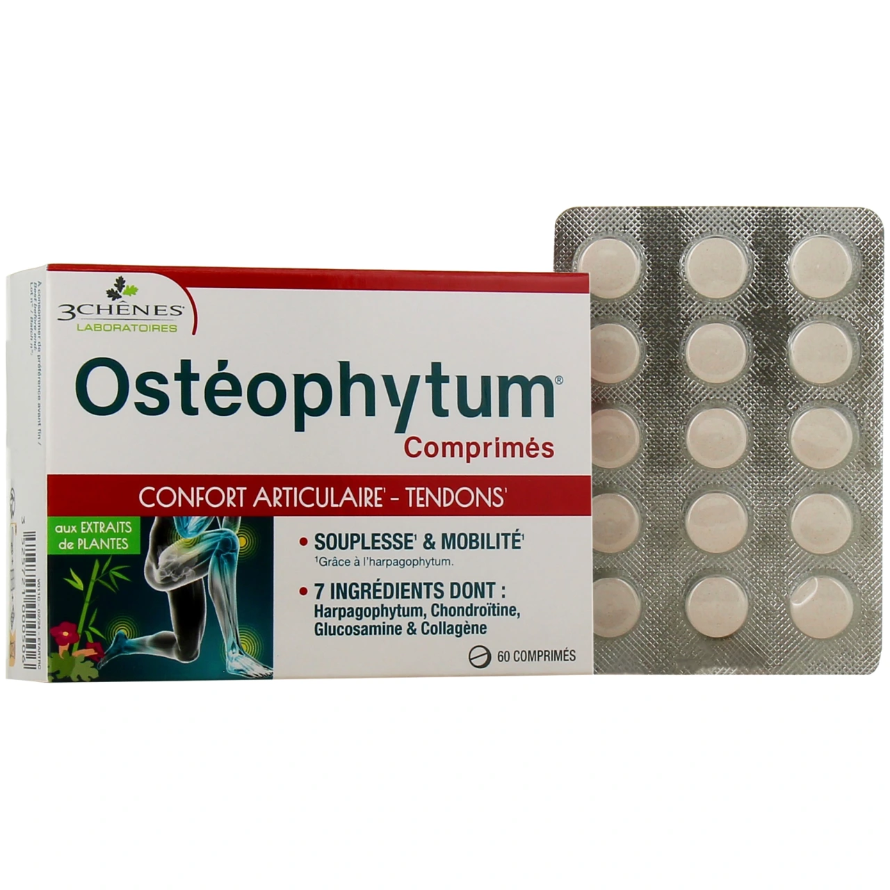 3 Chênes Osteophytum - 3 Chênes