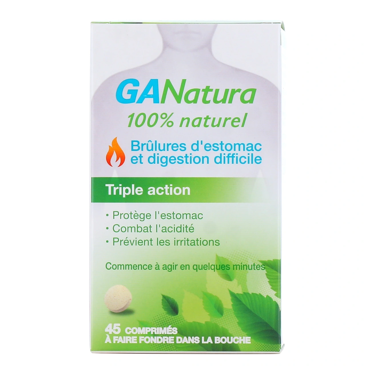 Ganatura - Vue 8