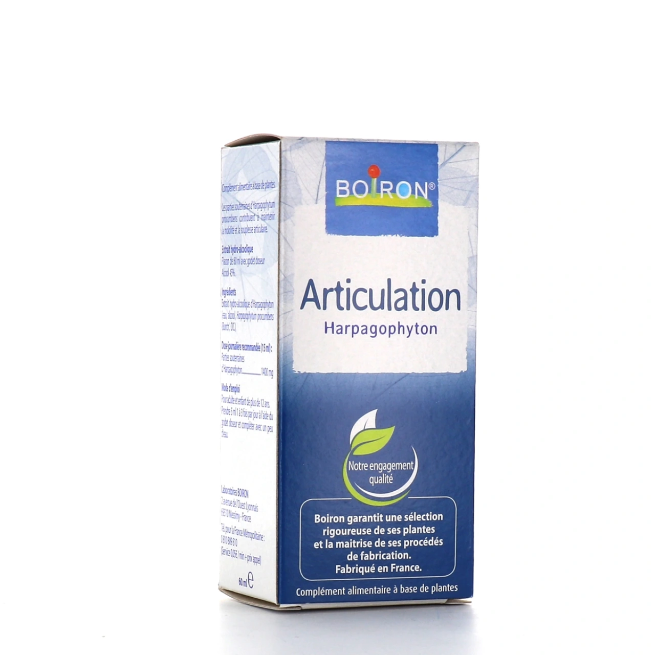 Articulation Harpagophyton - Vue 2