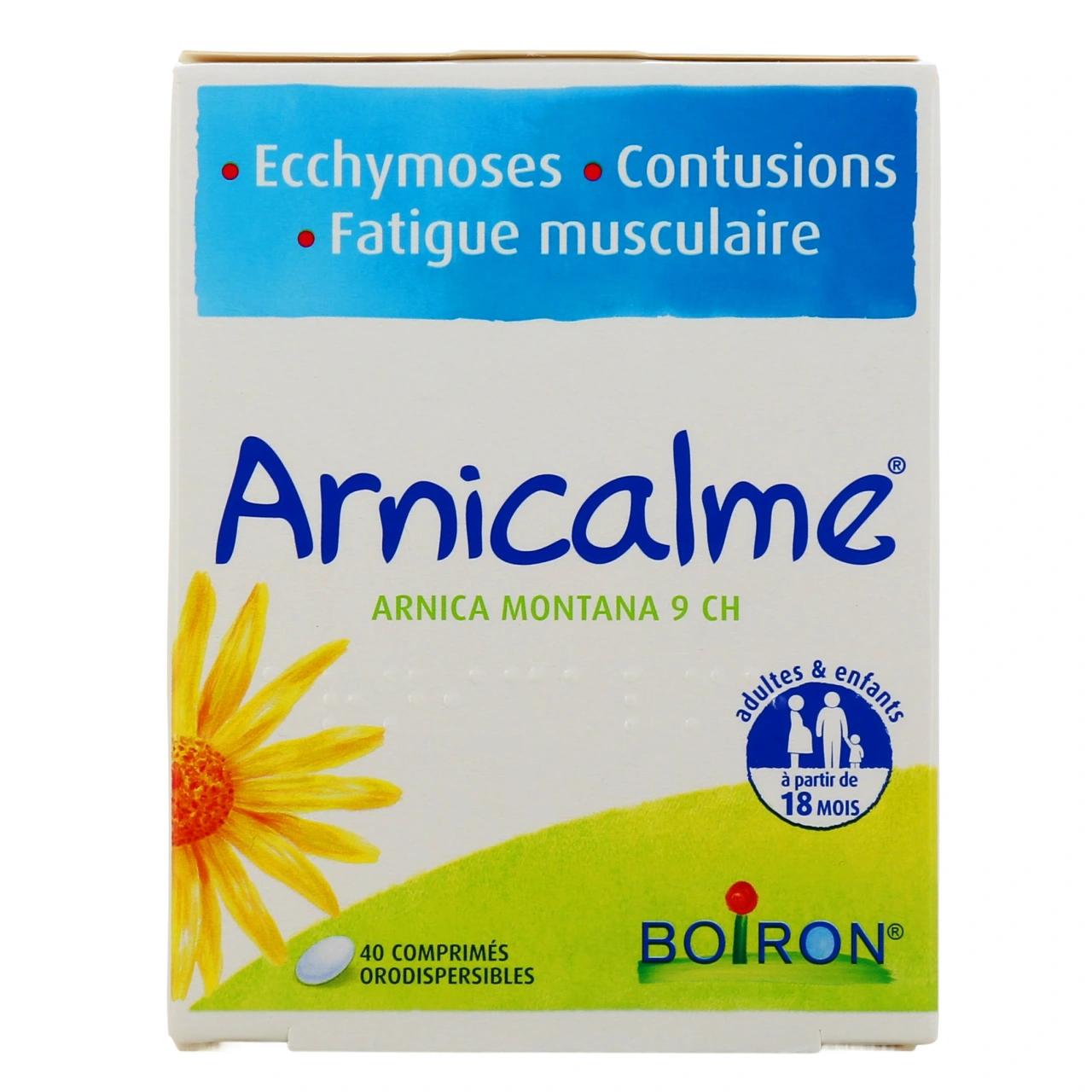 Arnicalme - Vue 2
