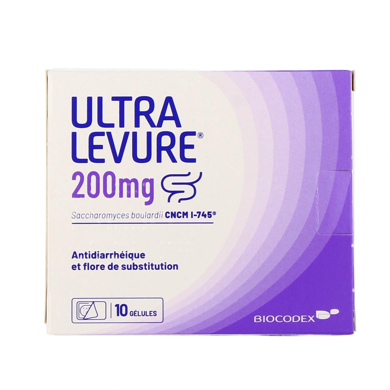 Ultralevure - Vue 5