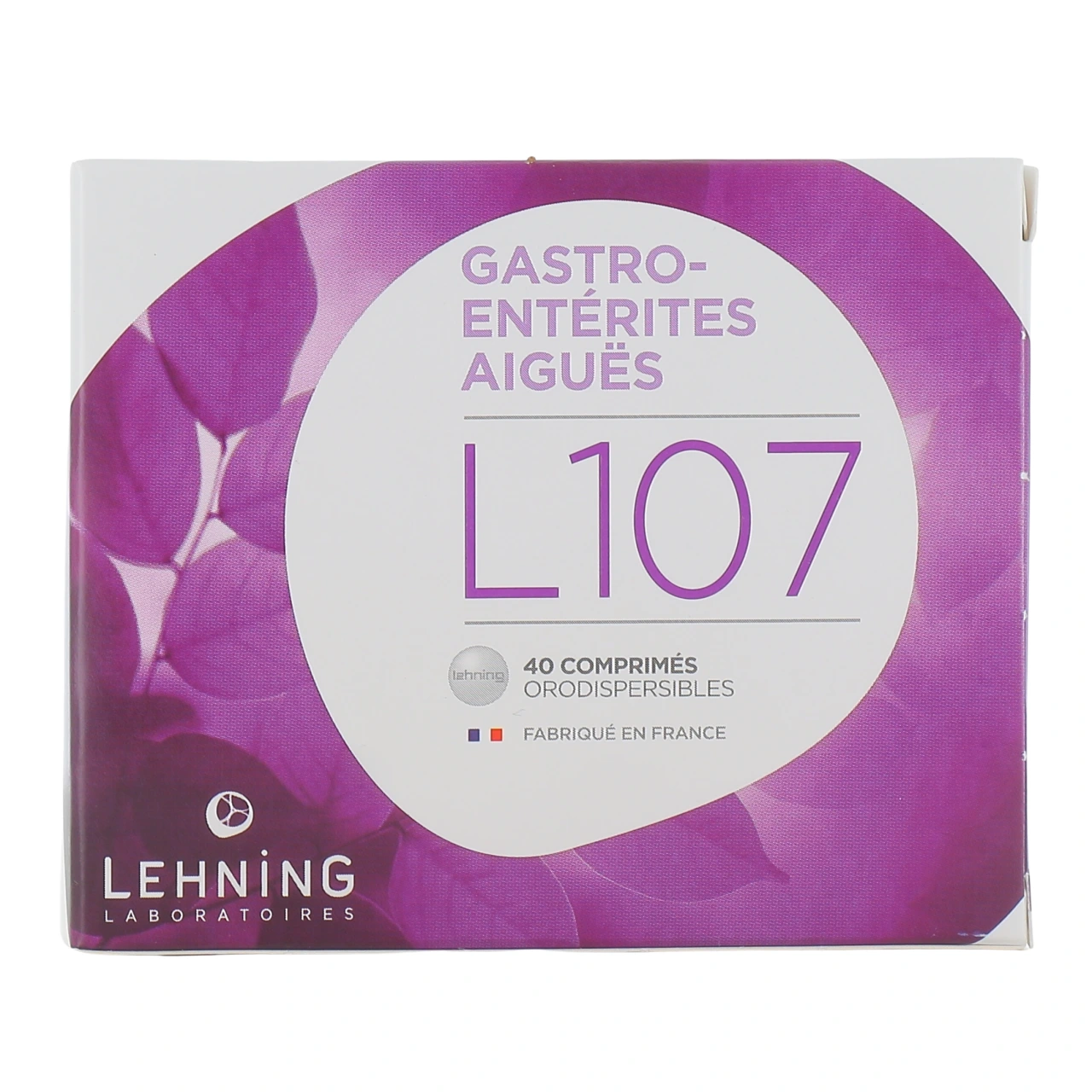 Lehning L107 - Vue 2