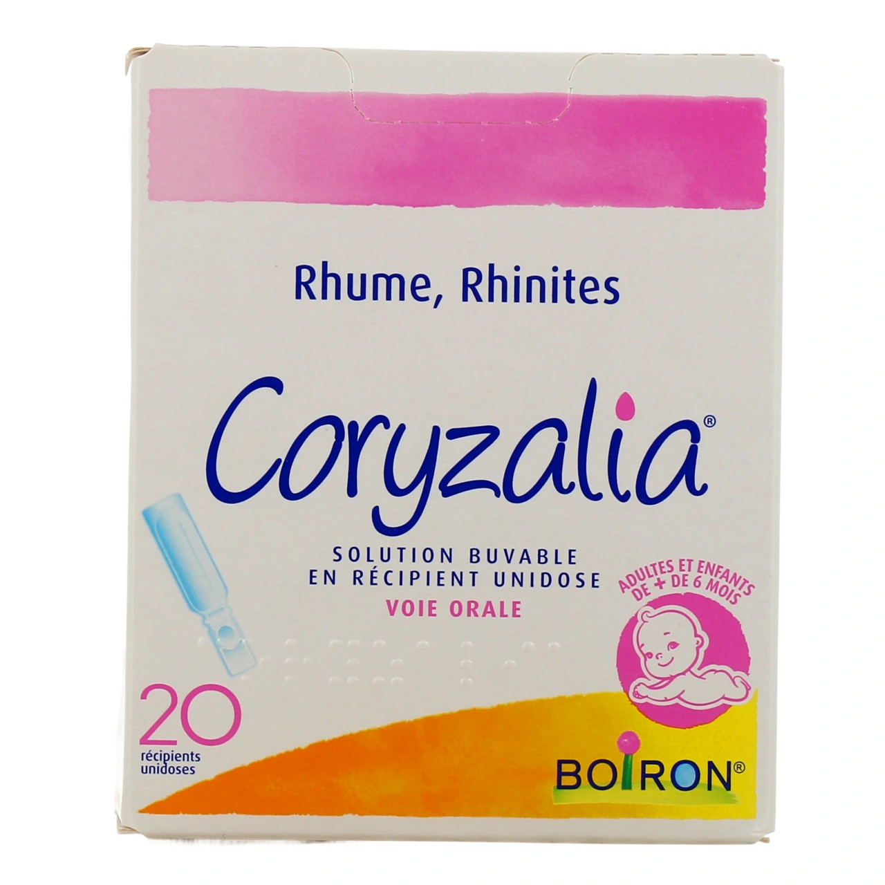 Coryzalia - Vue 4