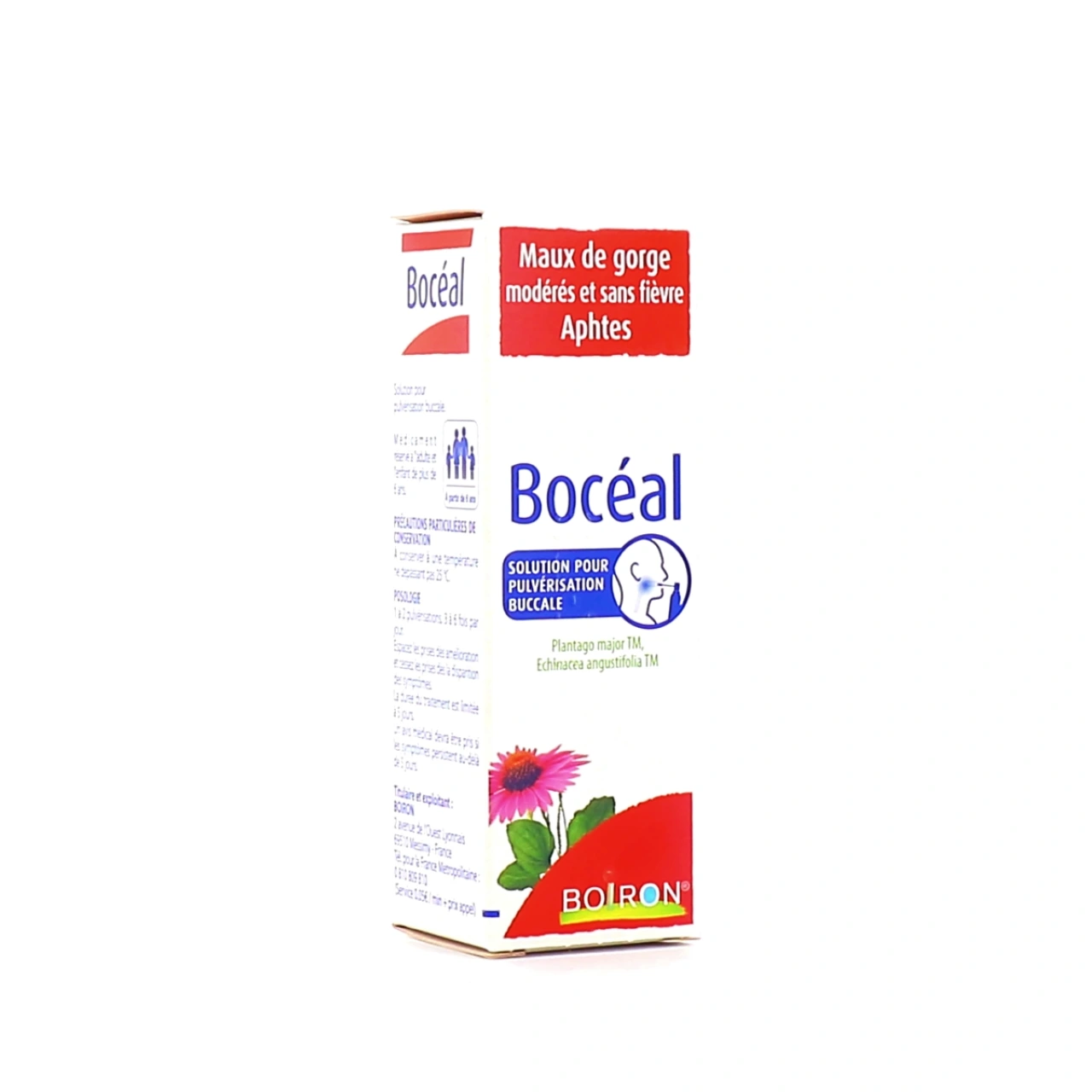 Boceal - Vue 2