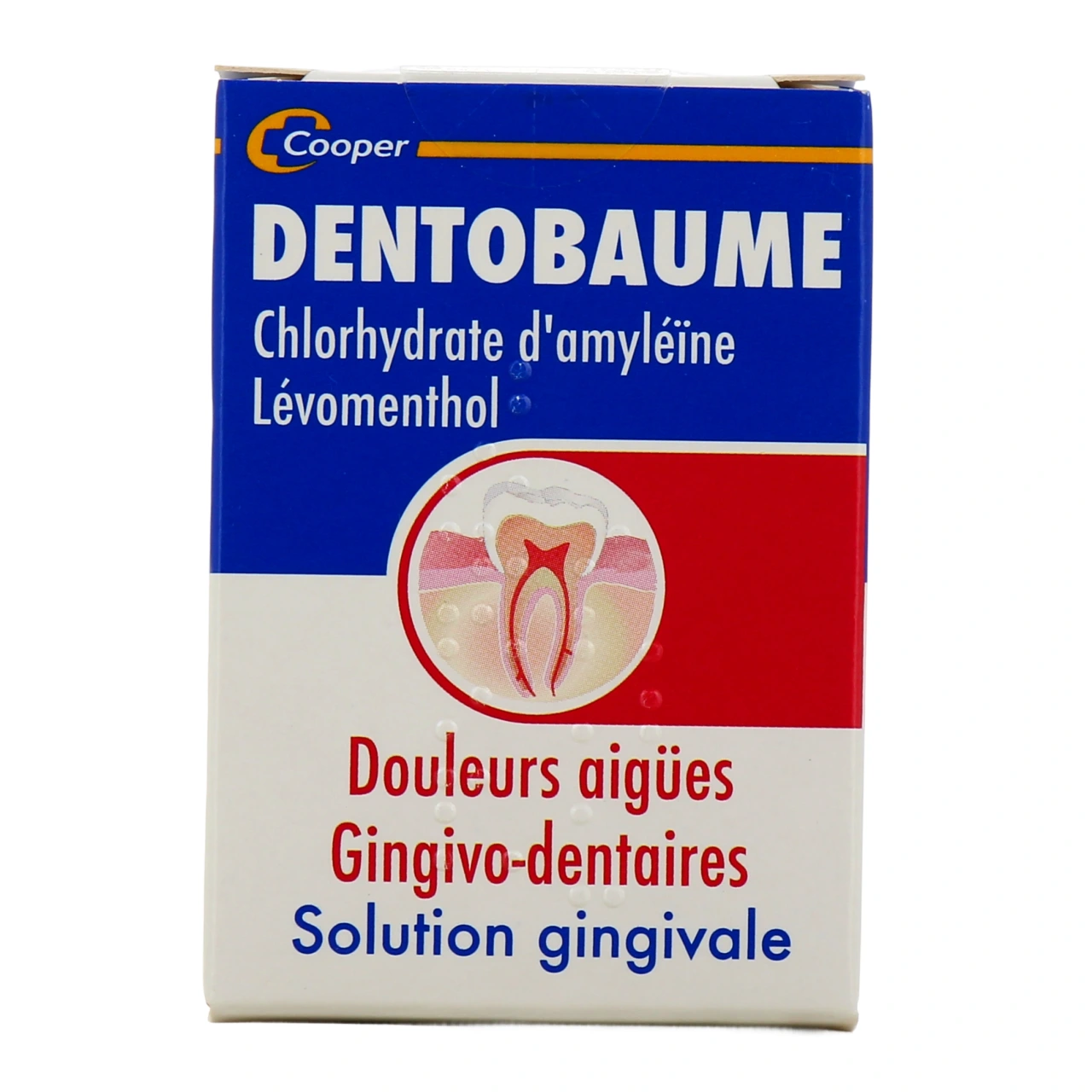 Dentobaume Solution Gingivale - Vue 2
