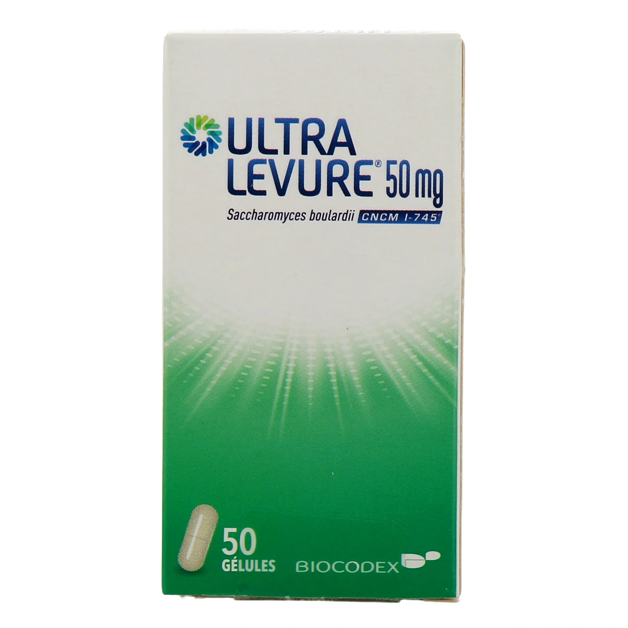 Ultralevure - Vue 11