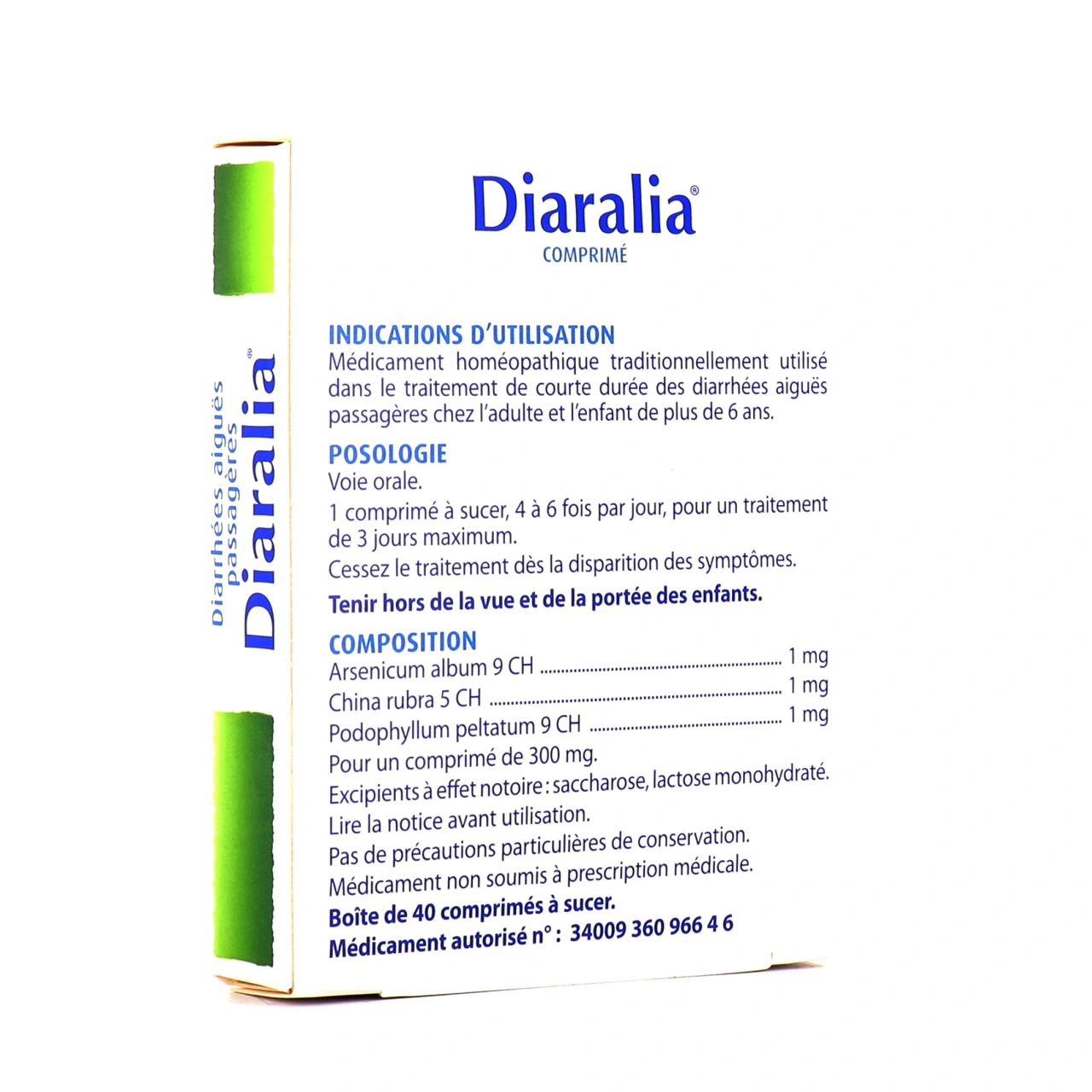Diaralia - Vue 2