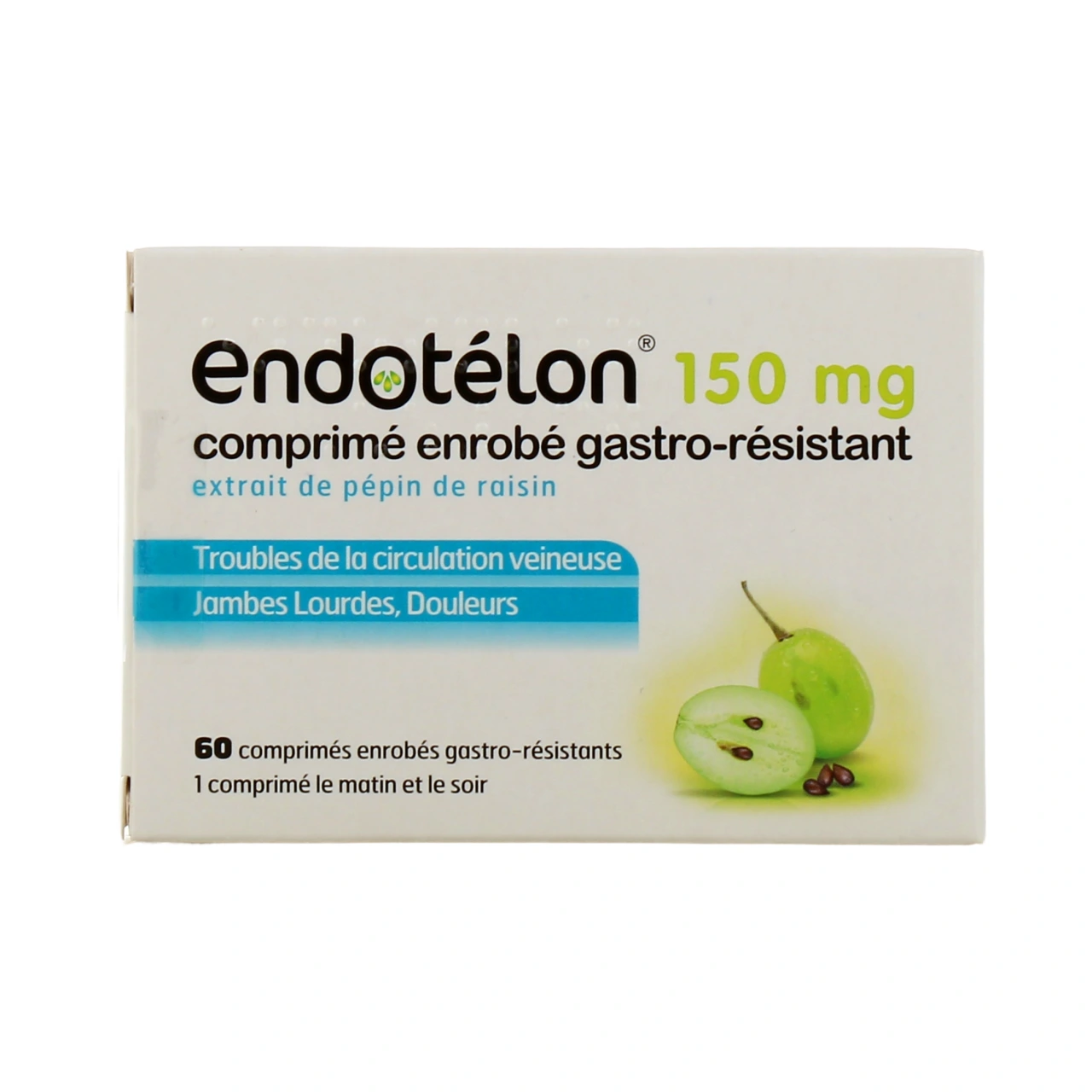 Endotelon - Vue 2