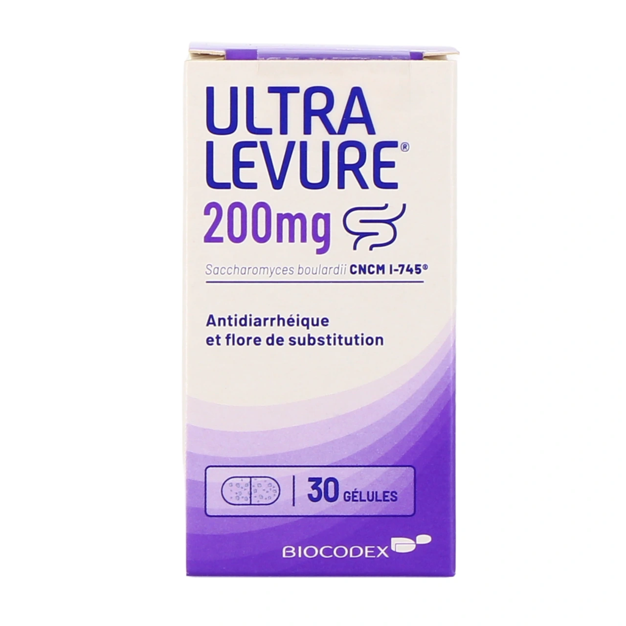 Ultralevure - Vue 8
