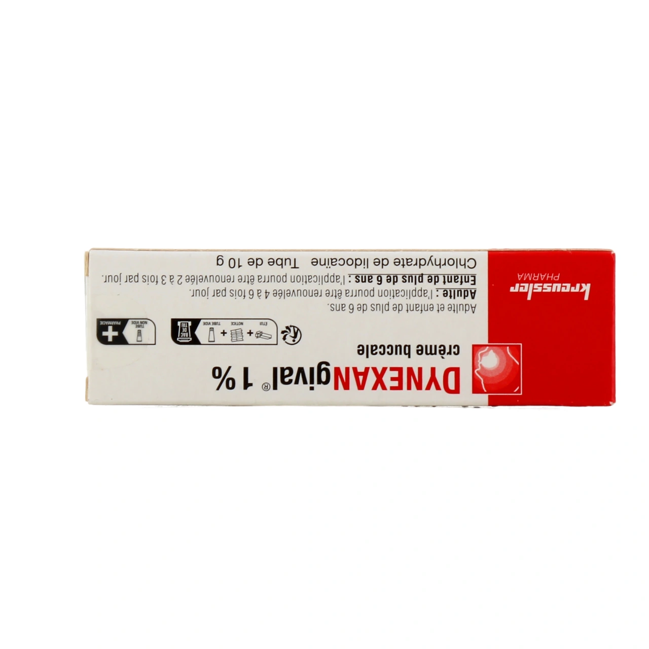 Dynexangival - Vue 3