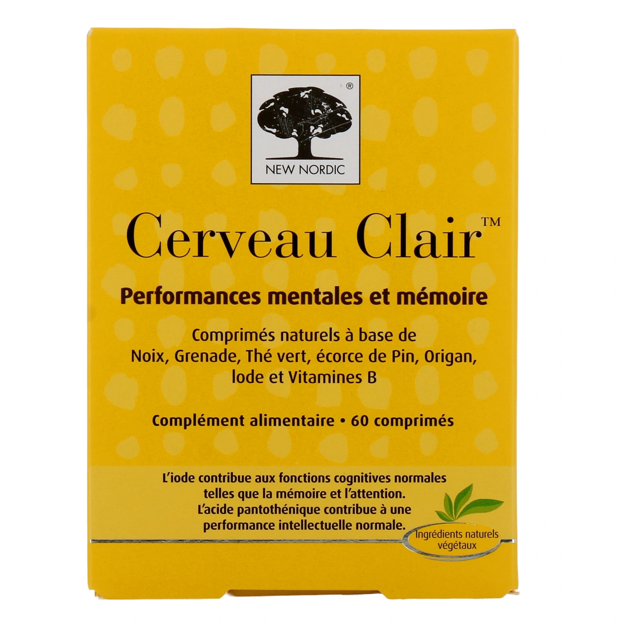 Cerveau Clair - Vue 2