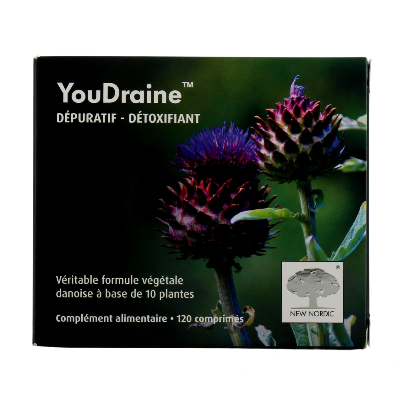 YouDraine - Vue 2