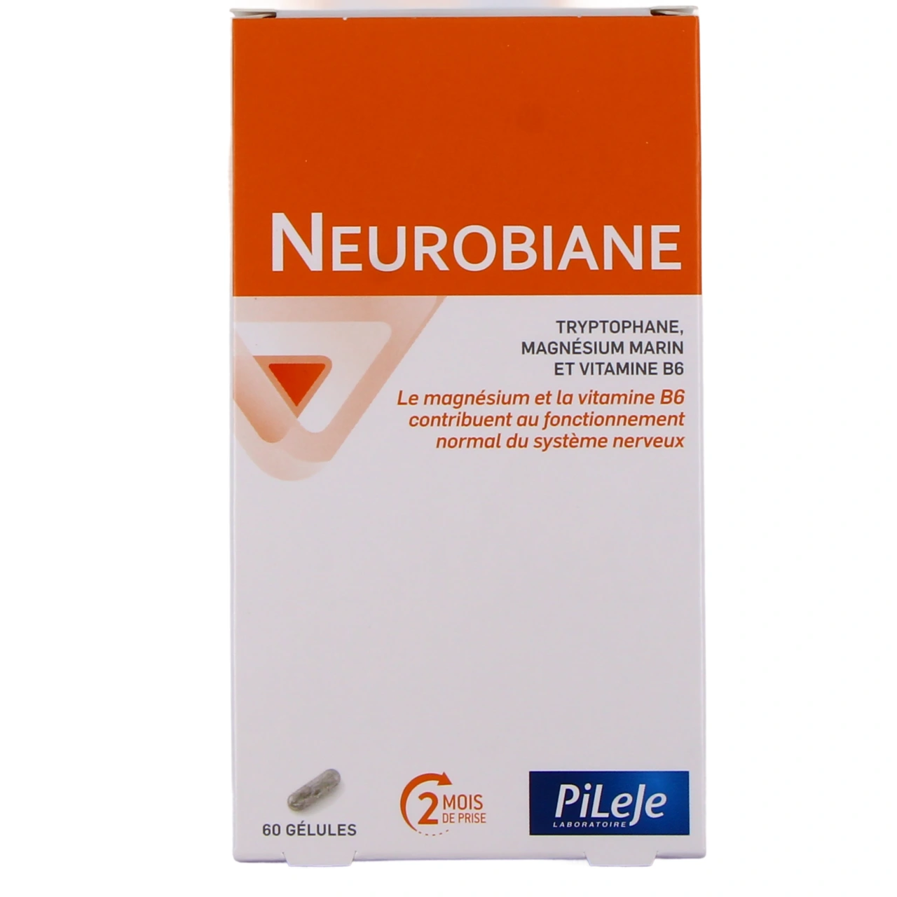 Pileje Neurobiane - Vue 2