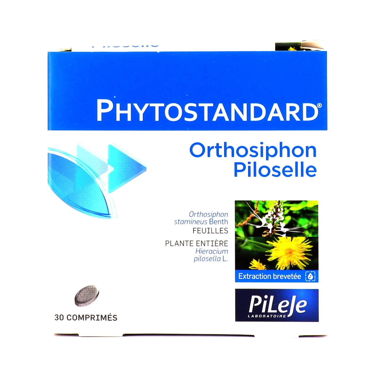 Pileje Phytostandard de orthosiphon- piloselle - Phytostandard