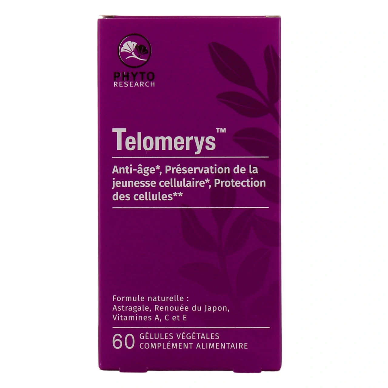 Telomerys - Vue 2