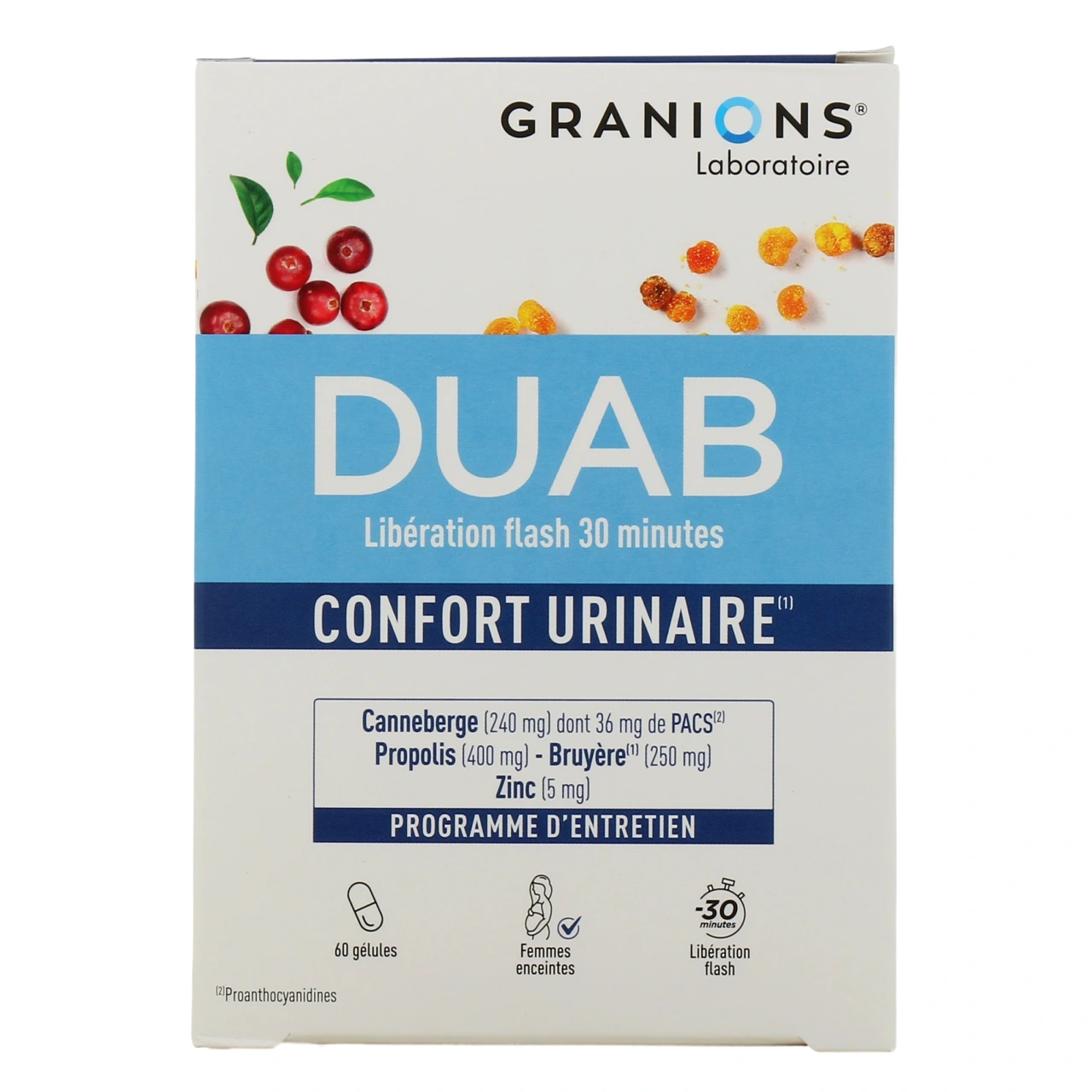 DUAB - Vue 5
