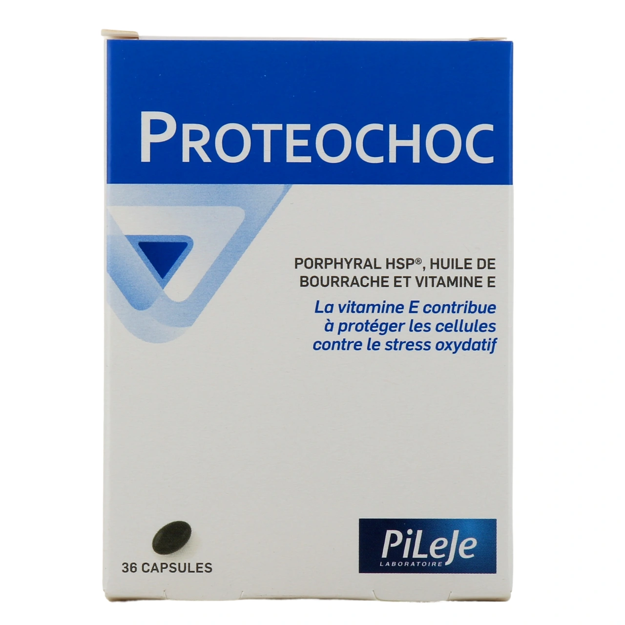 Pileje Proteochoc - Vue 5