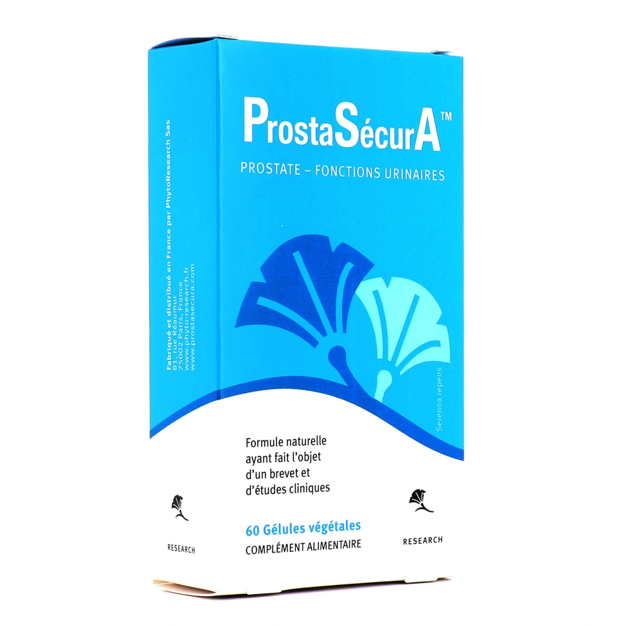 ProstaSecurA - Vue 6