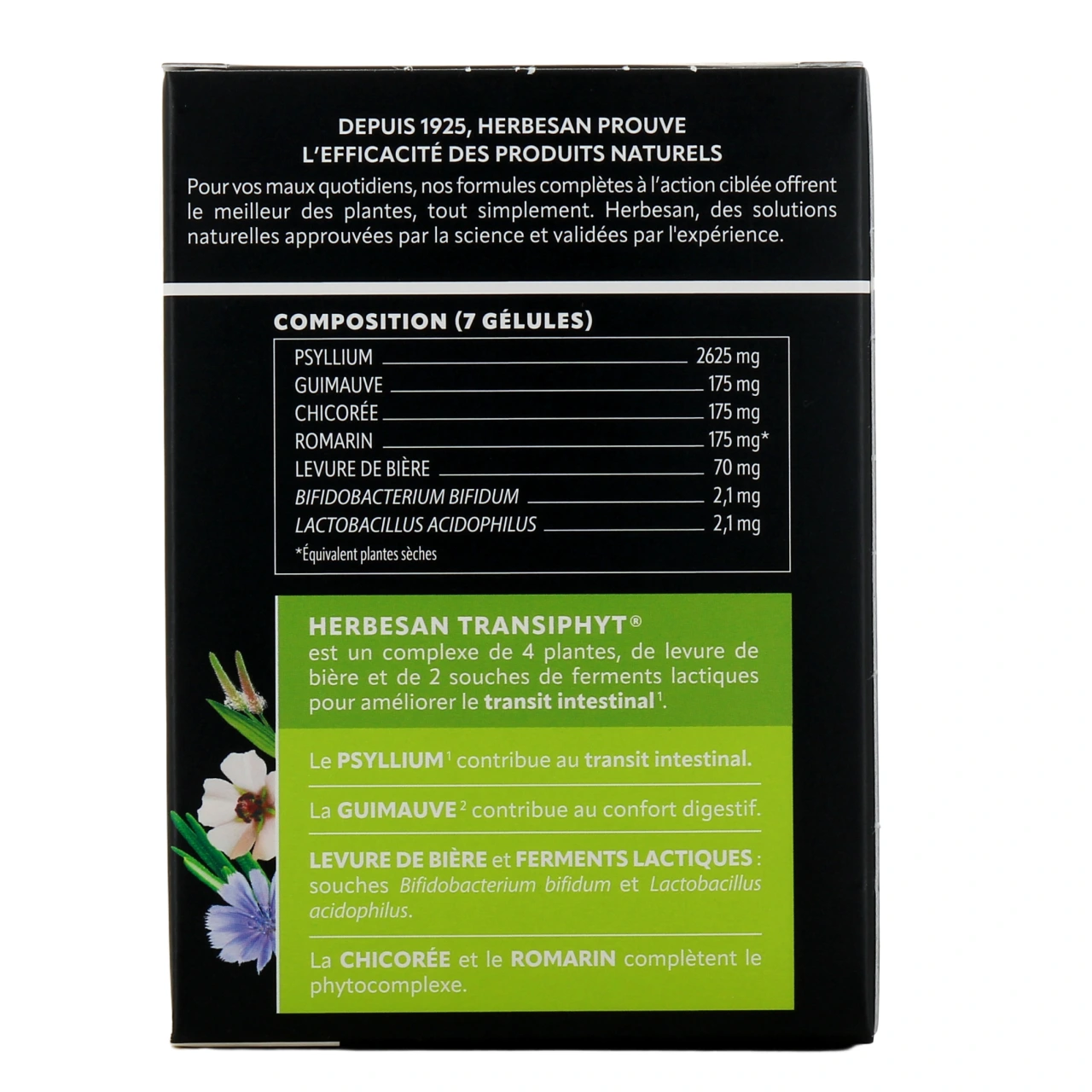 Herbesan Transiphyt - Vue 3