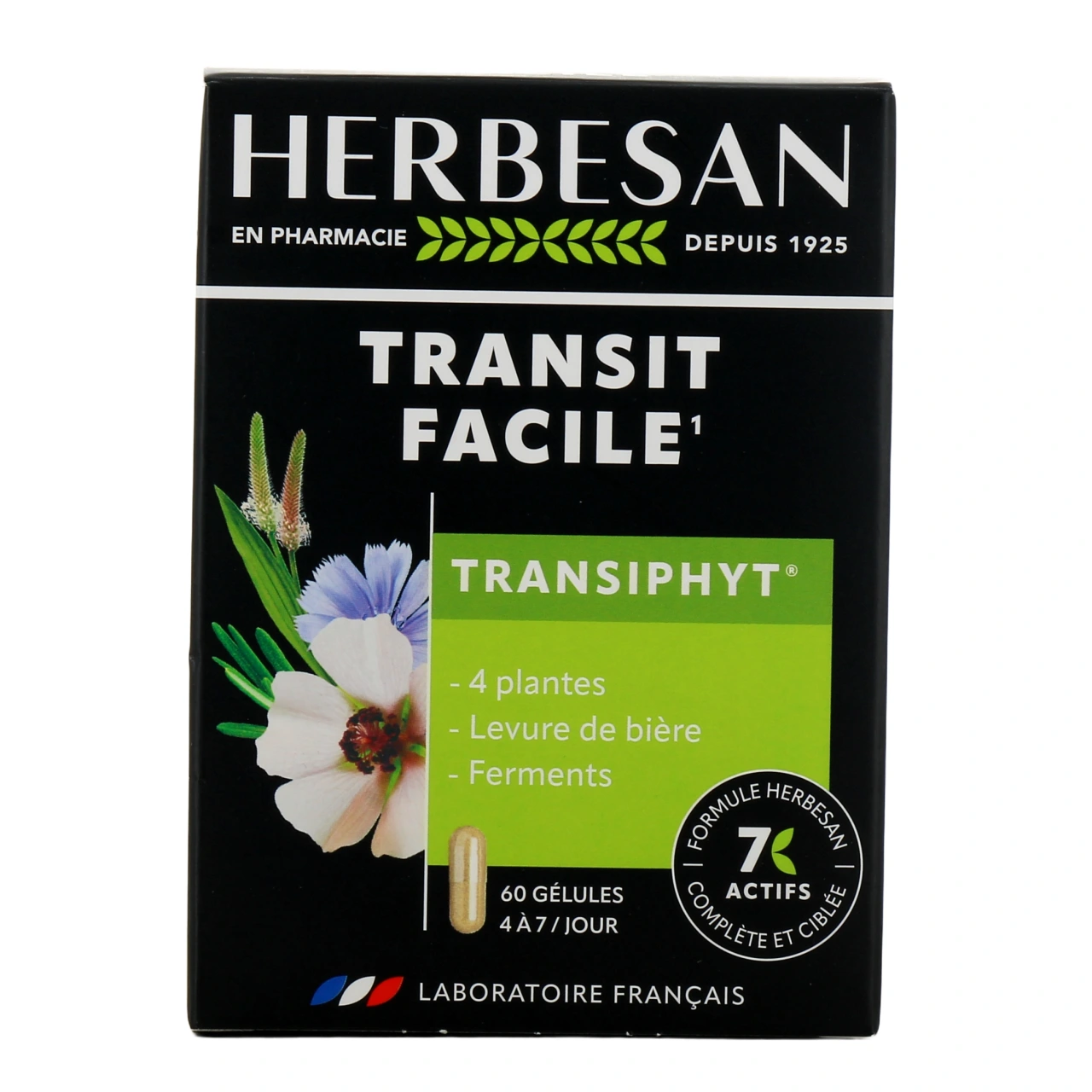 Herbesan Transiphyt - Vue 2
