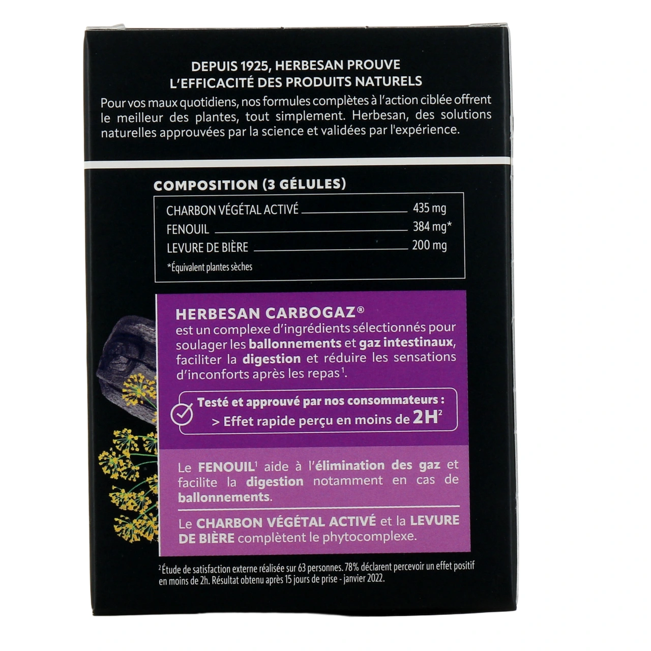Herbesan Carbogaz - Vue 3