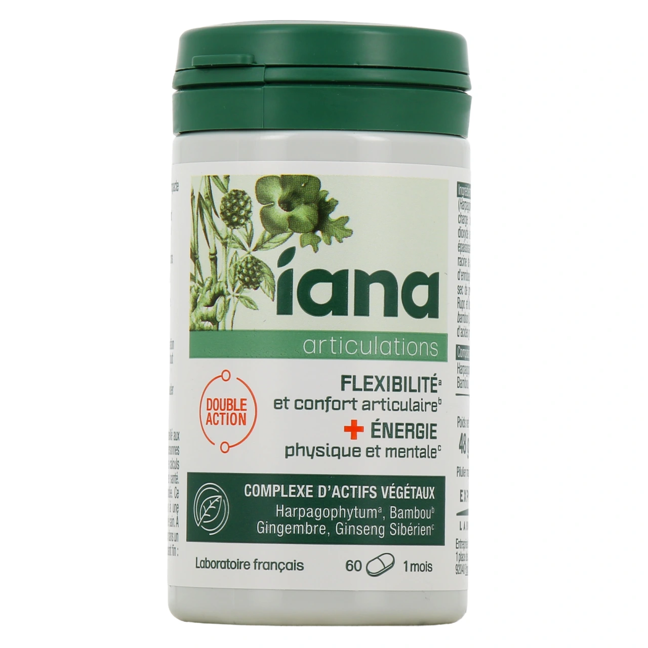 Iana Articulations Flexibilité et Energie - Vue 2