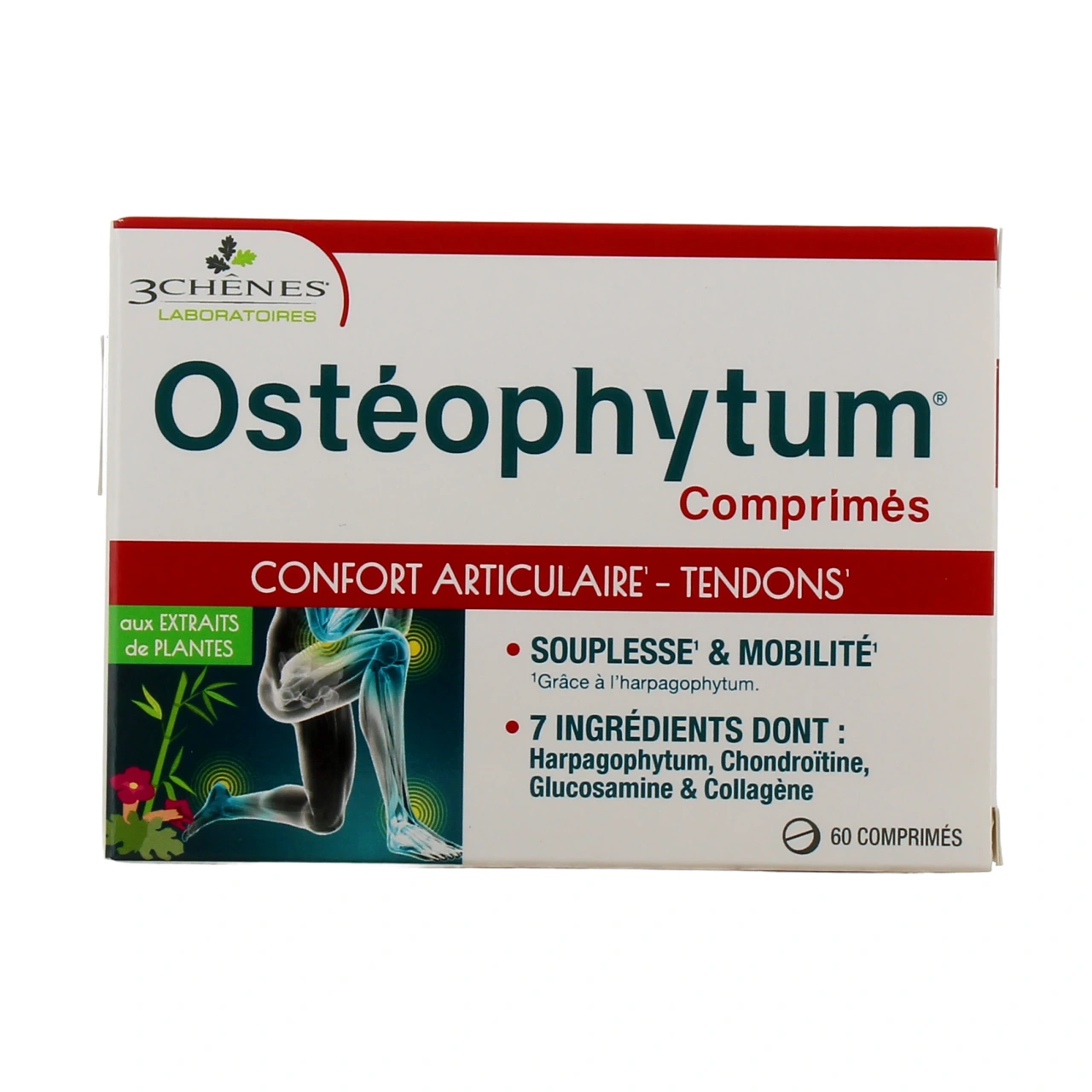 3 Chênes Osteophytum - Vue 2