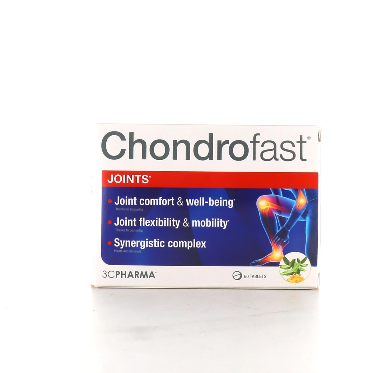 Chondrofast Articulations - Vue 2