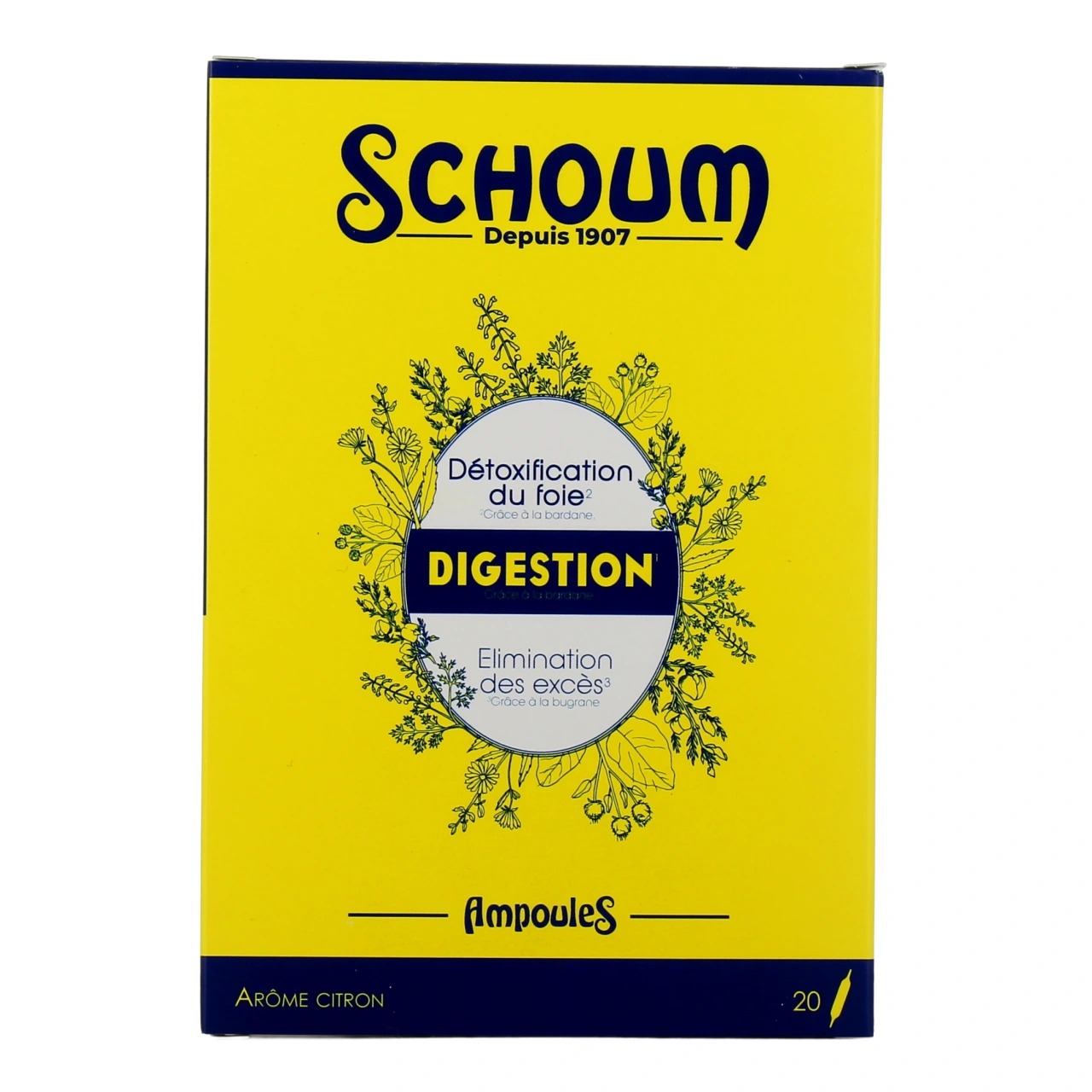 Schoum Digestion - Vue 2