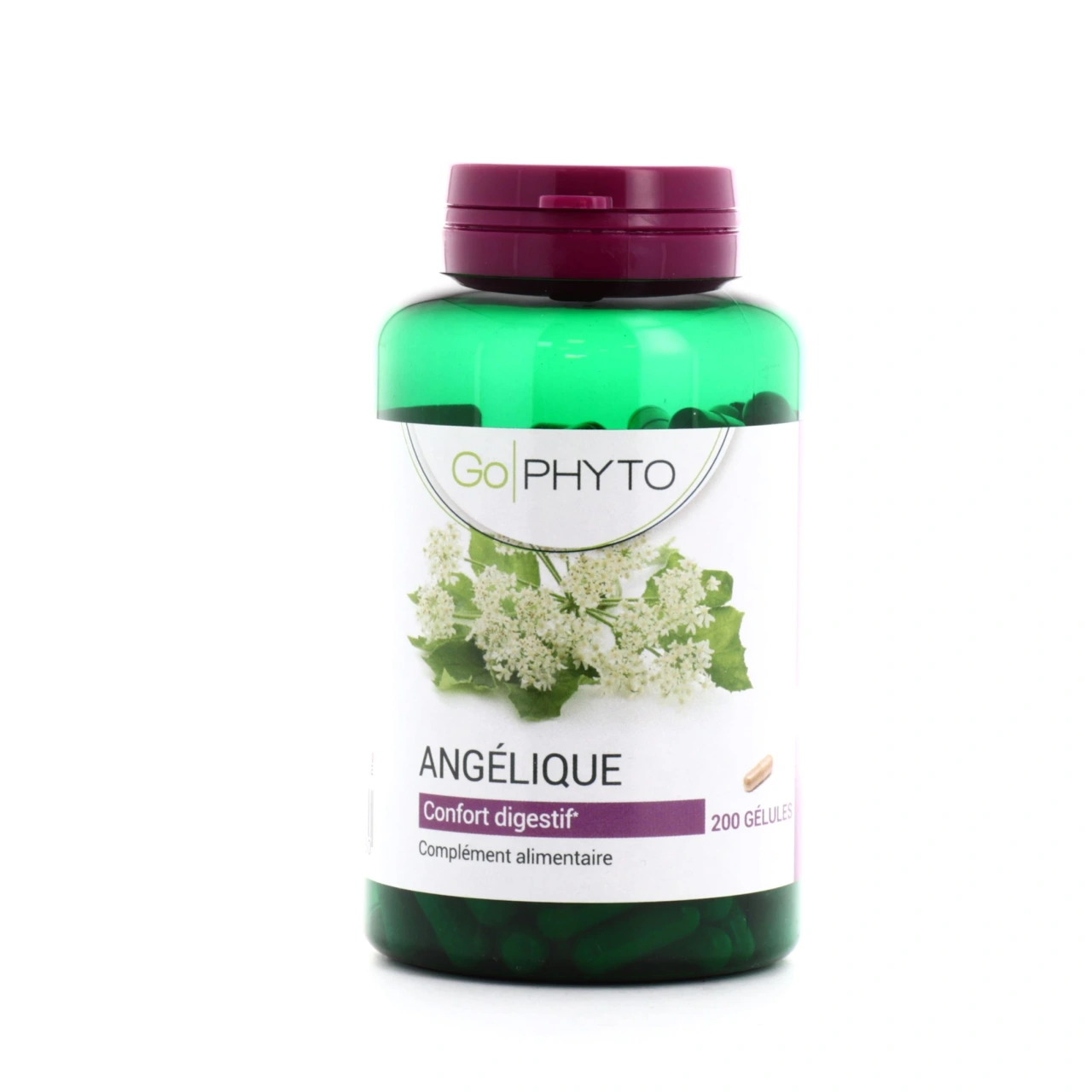 Go Phyto Angélique Confort Digestif - Go Phyto
