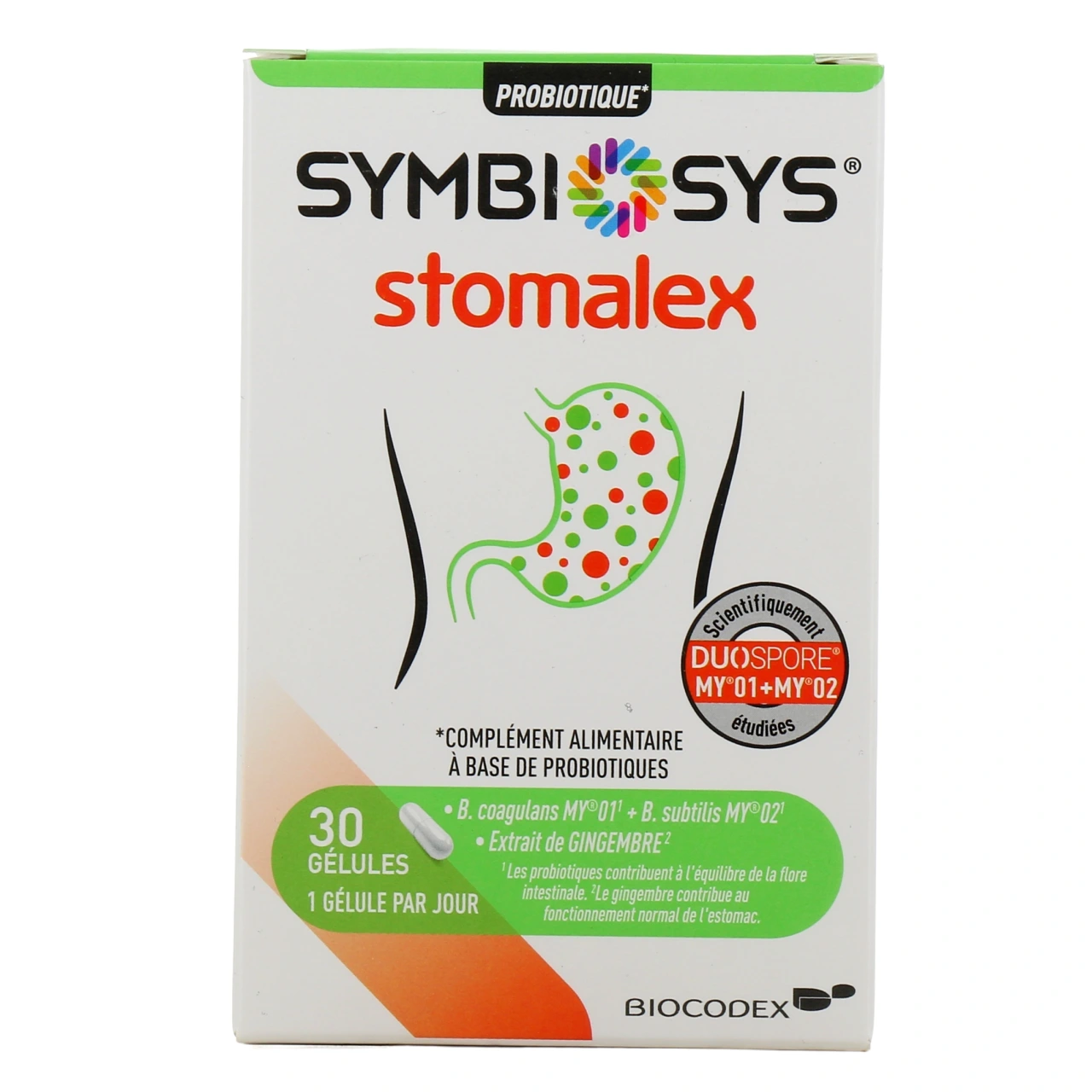 Symbiosys Stomalex - Vue 2