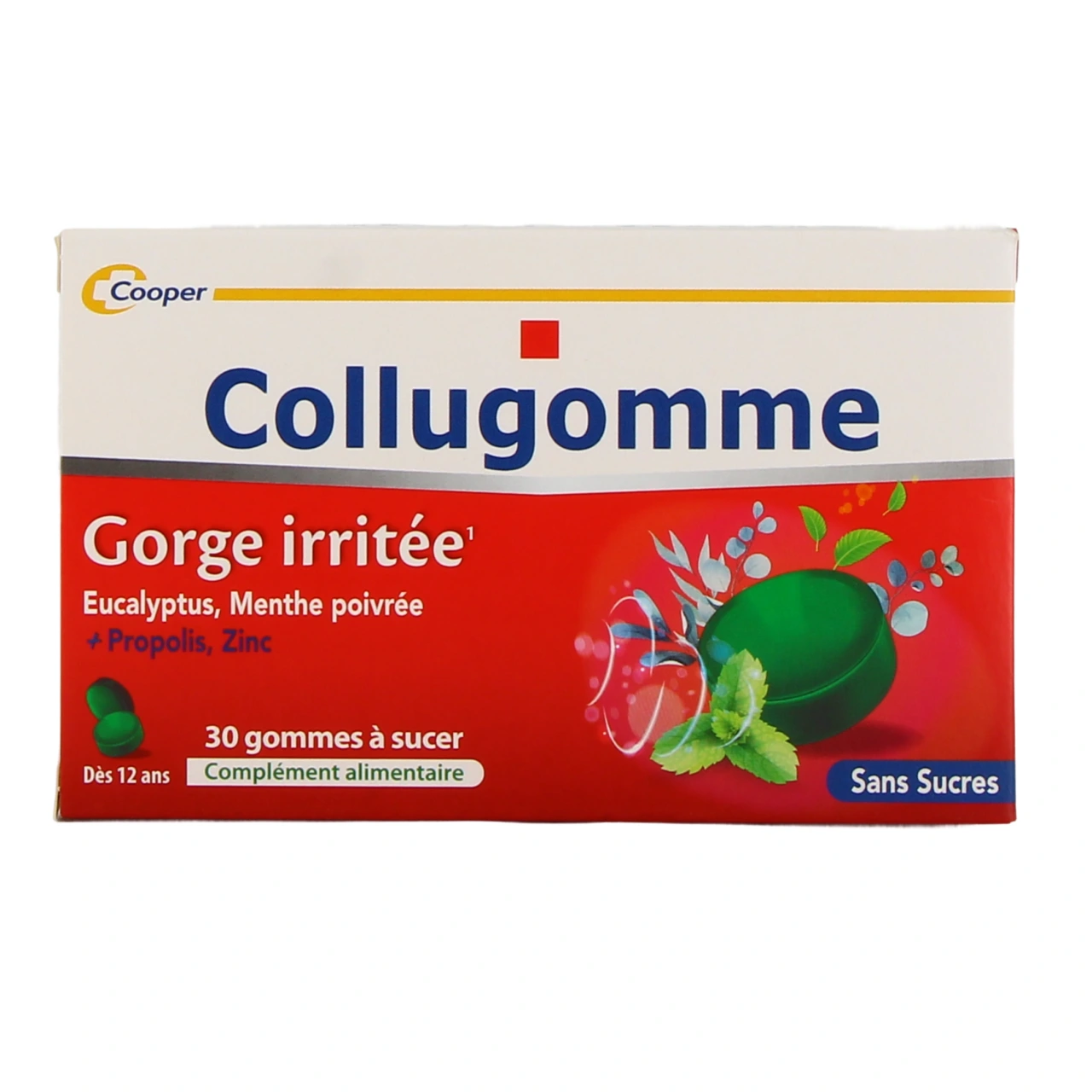 Collugomme - Vue 2