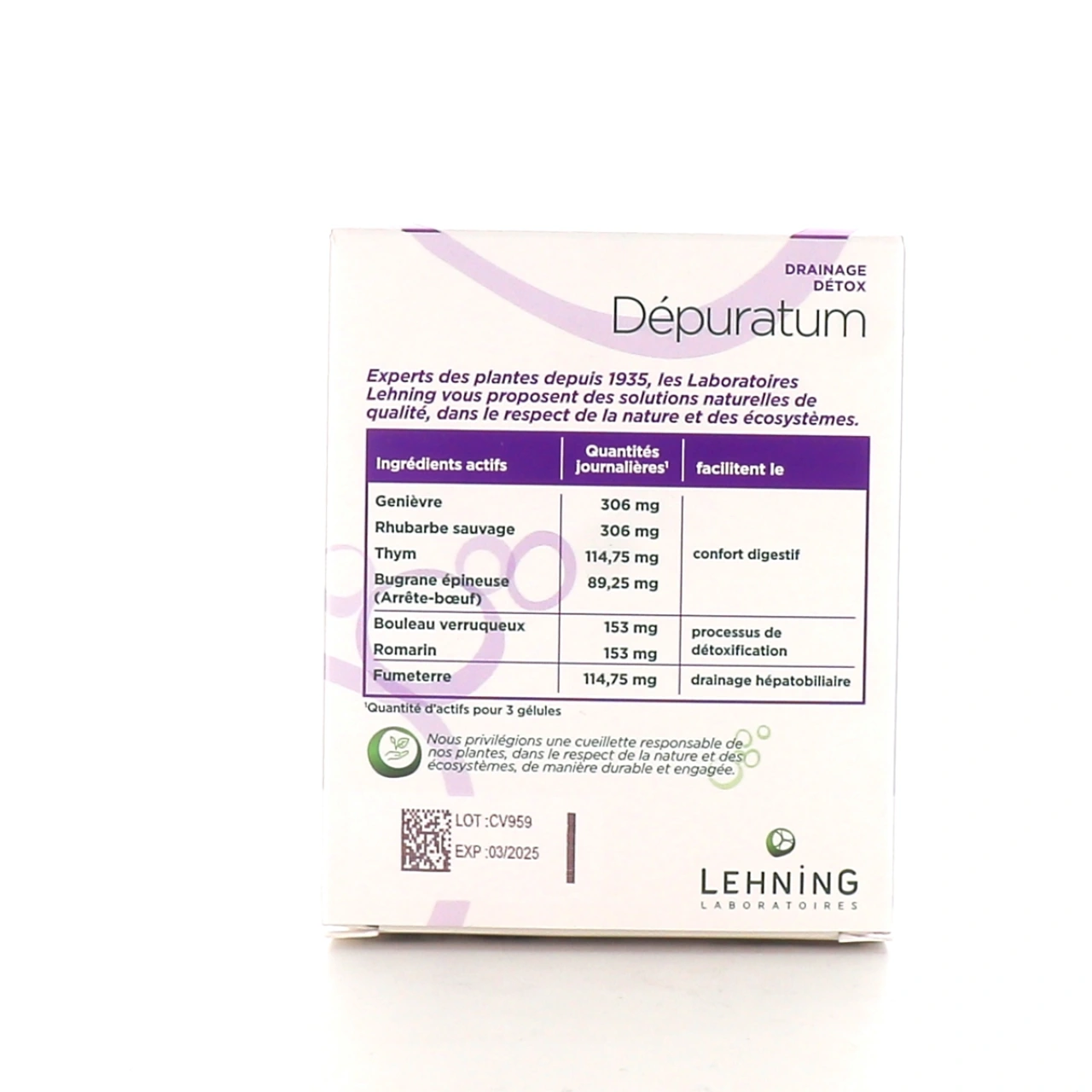 Lehning Depuratum - Vue 2