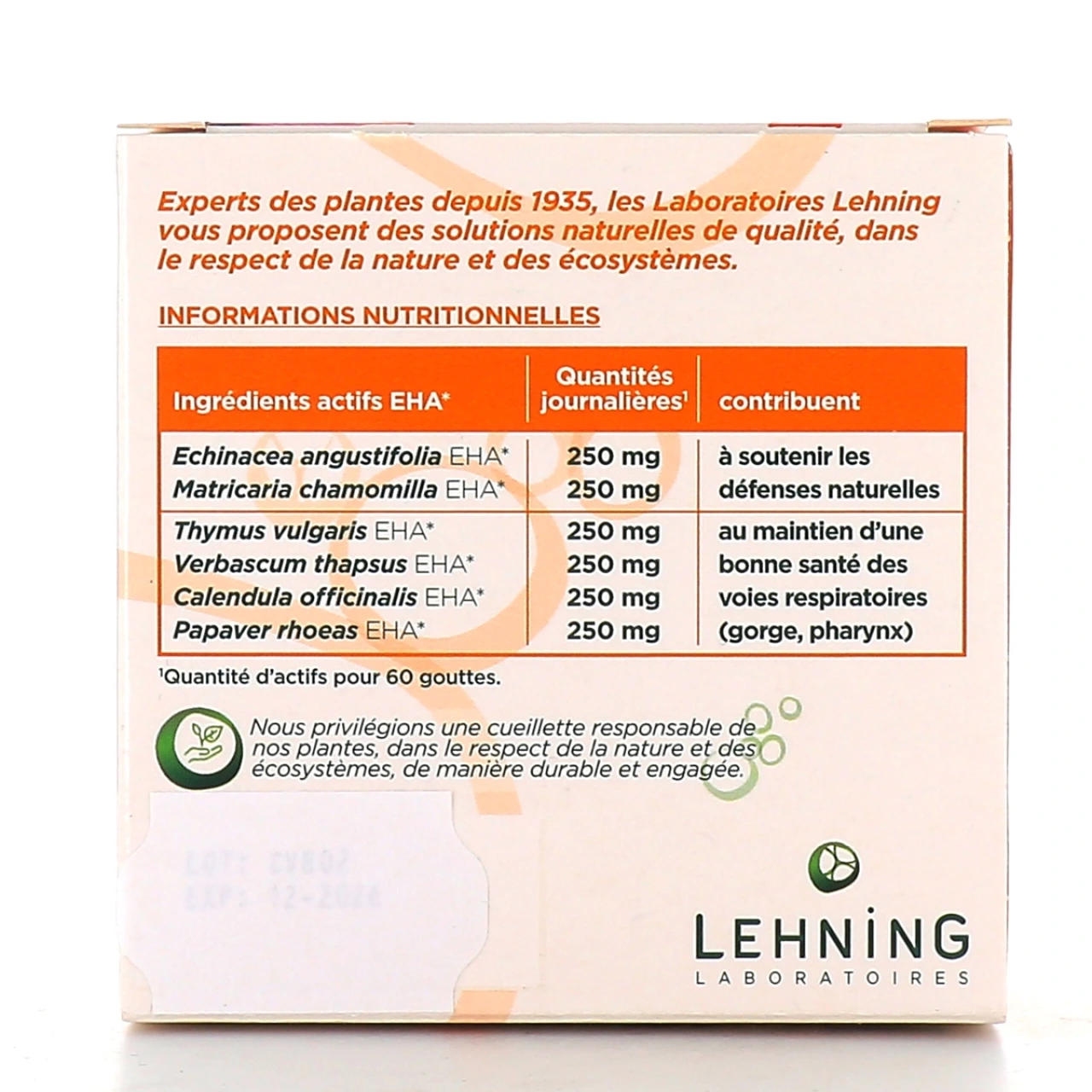 Lehning Echinacée n°40 - Vue 2