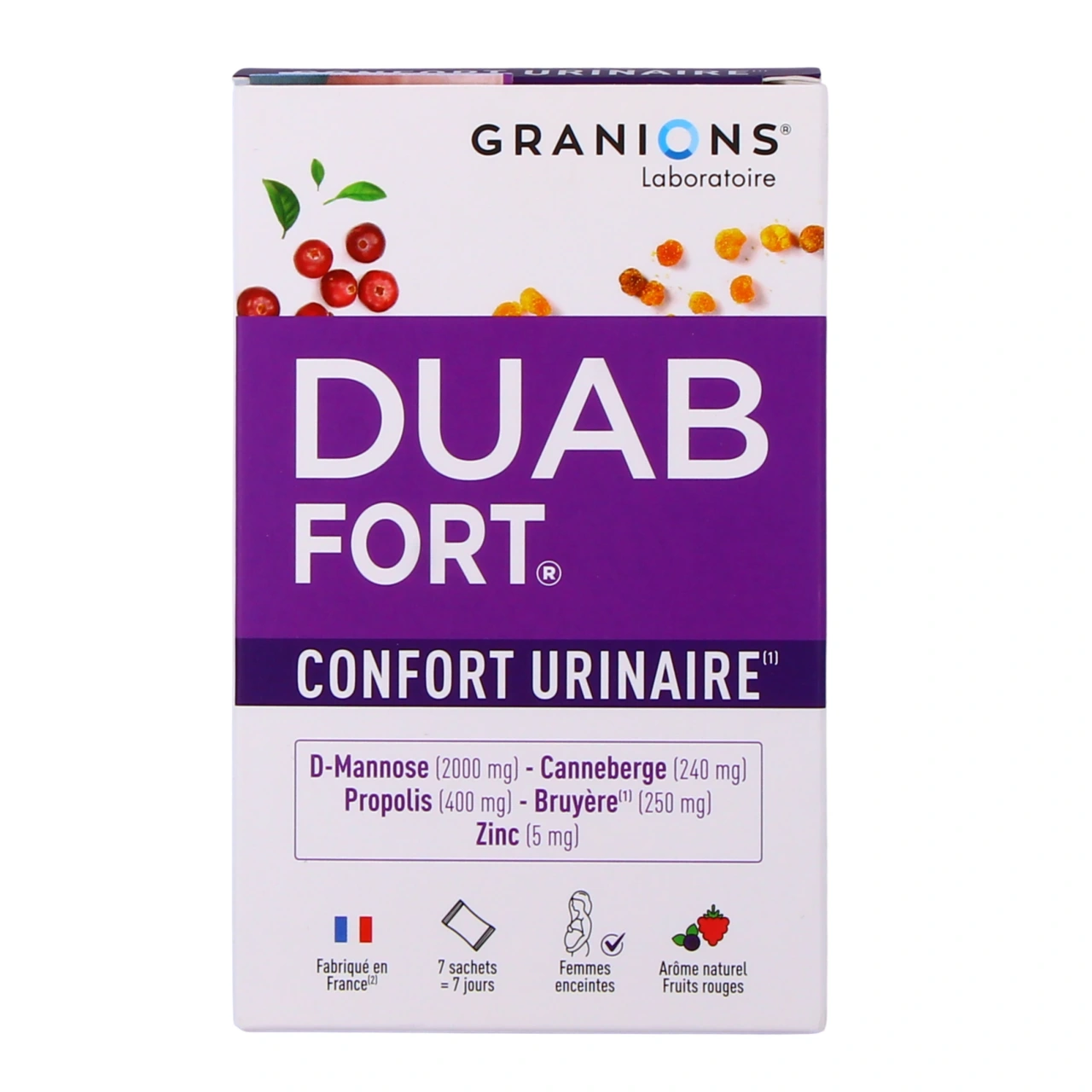 Duab Fort - Vue 2