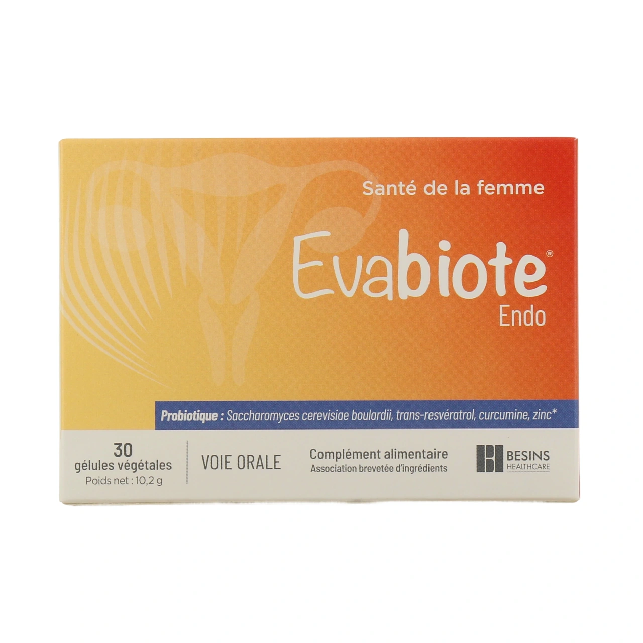 Evabiote Endo - Vue 2