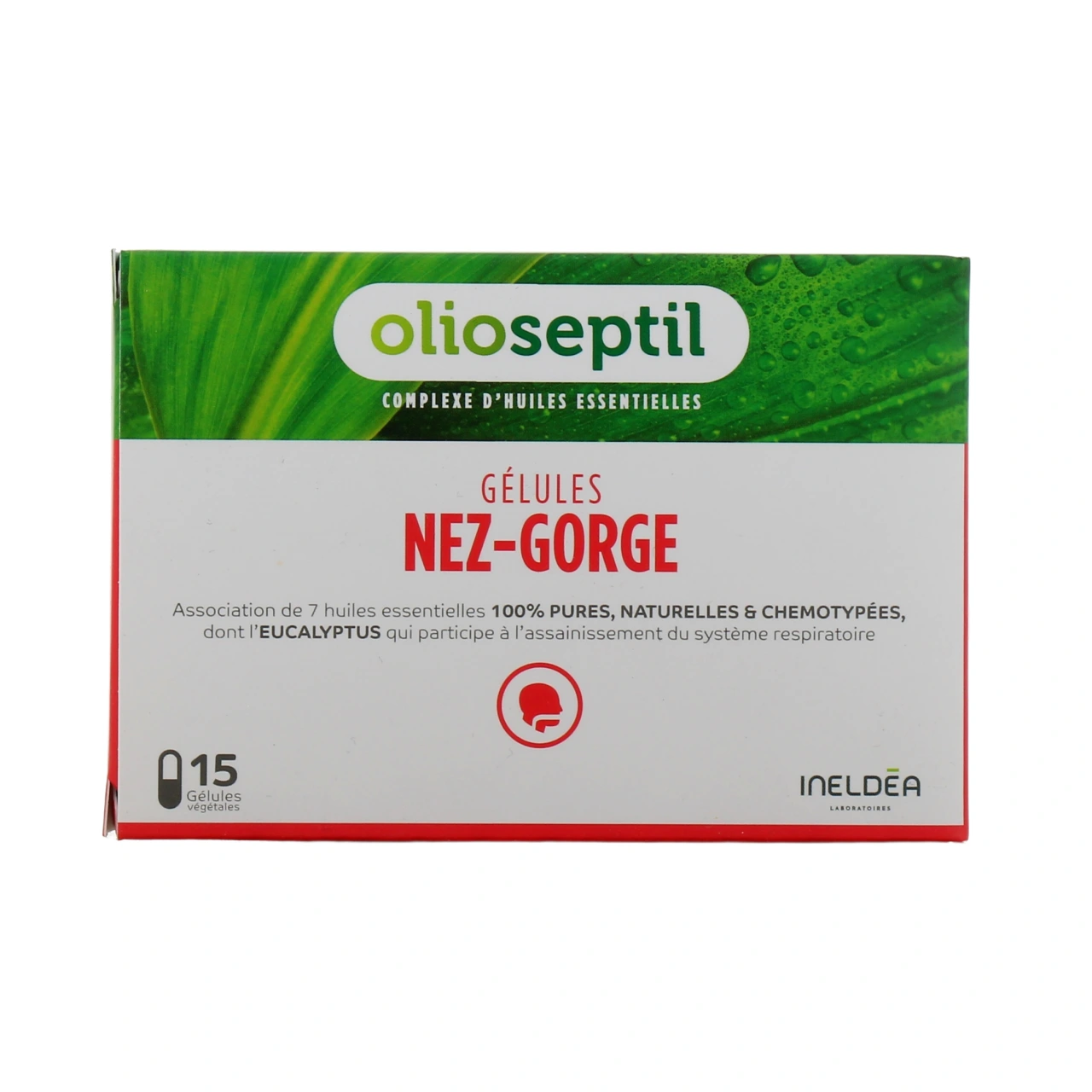 Olioseptil Nez Gorge - Vue 2
