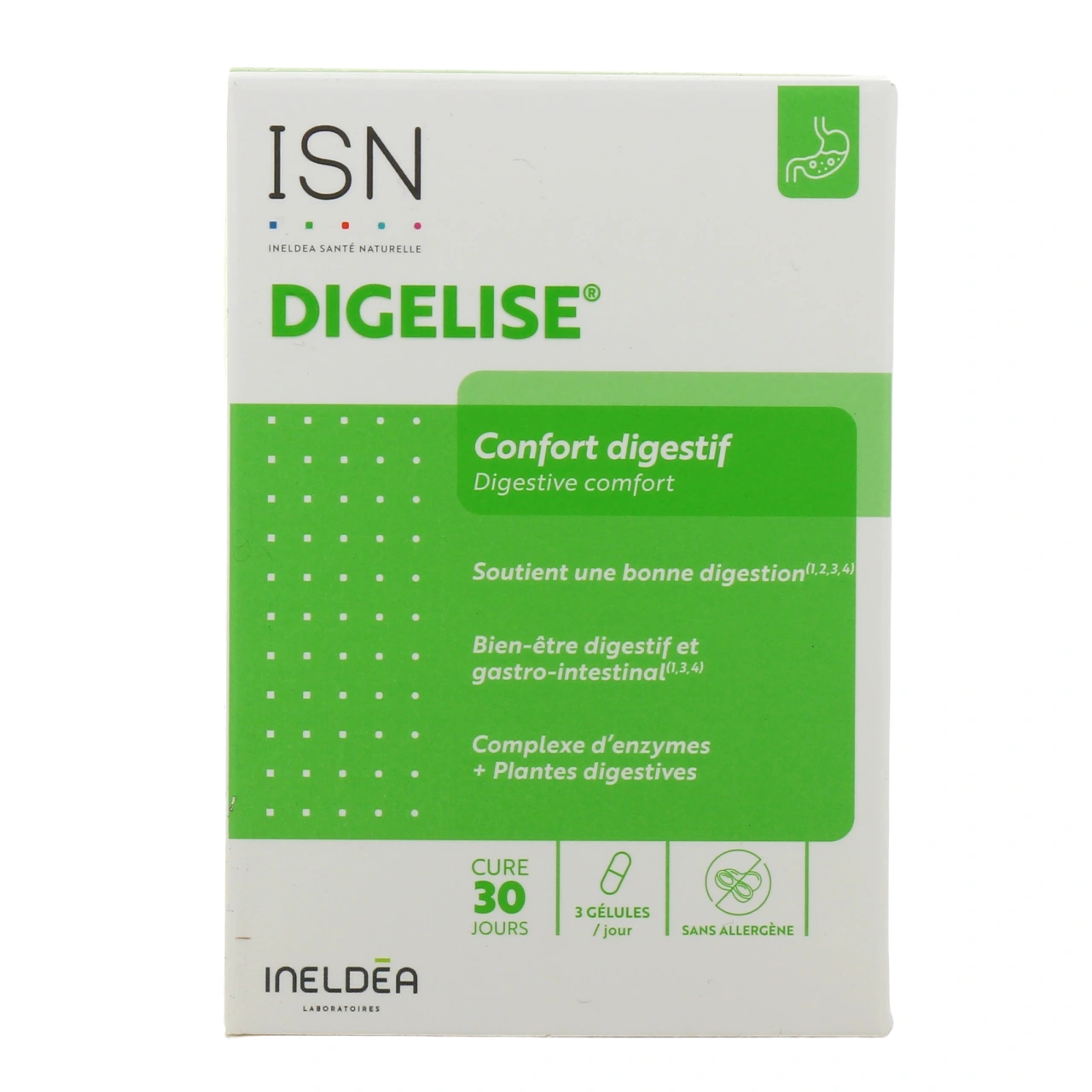 Ineldea Digelise - Vue 2