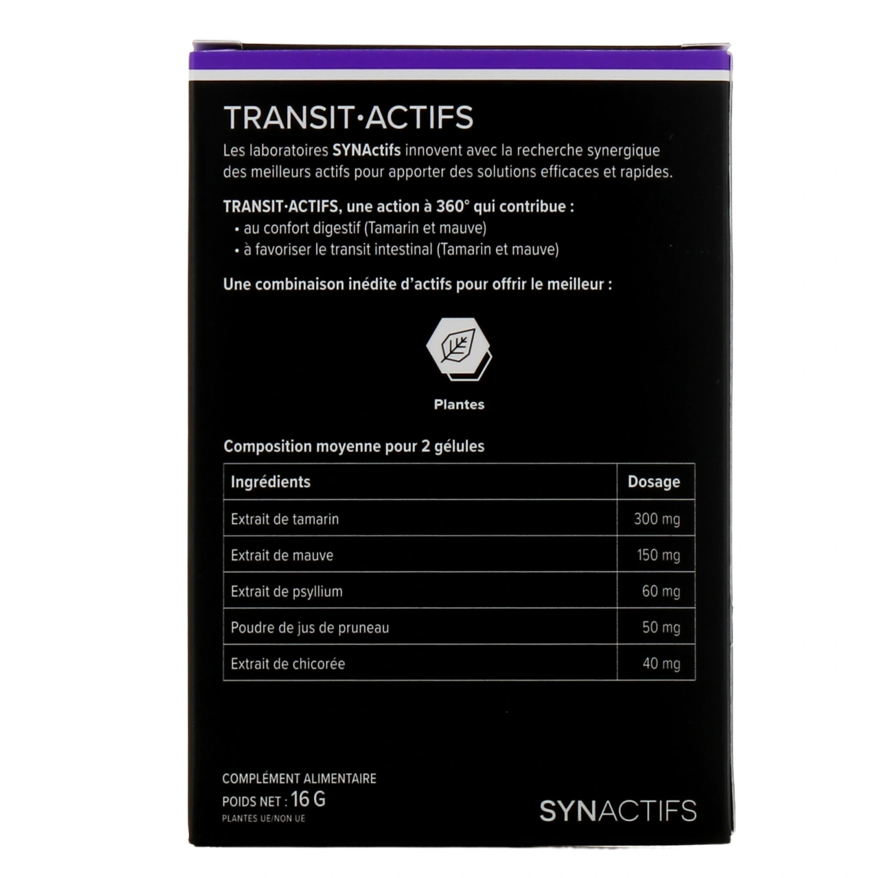 Synactifs Transit Actifs - Vue 3