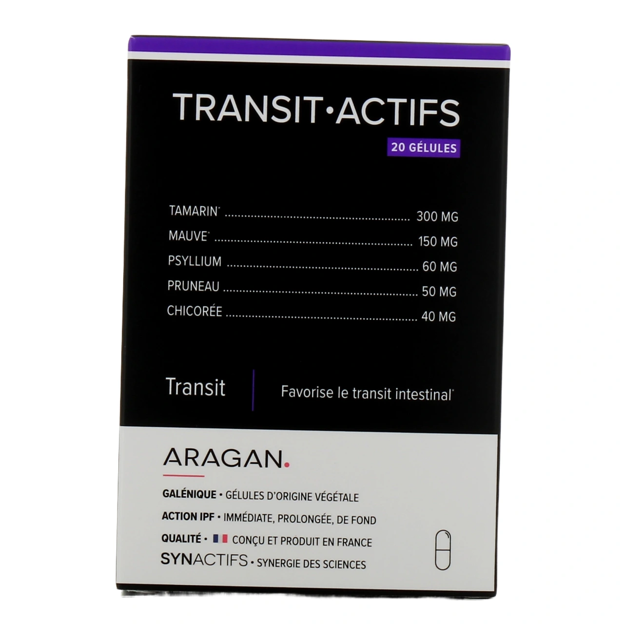 Synactifs Transit Actifs - Vue 2